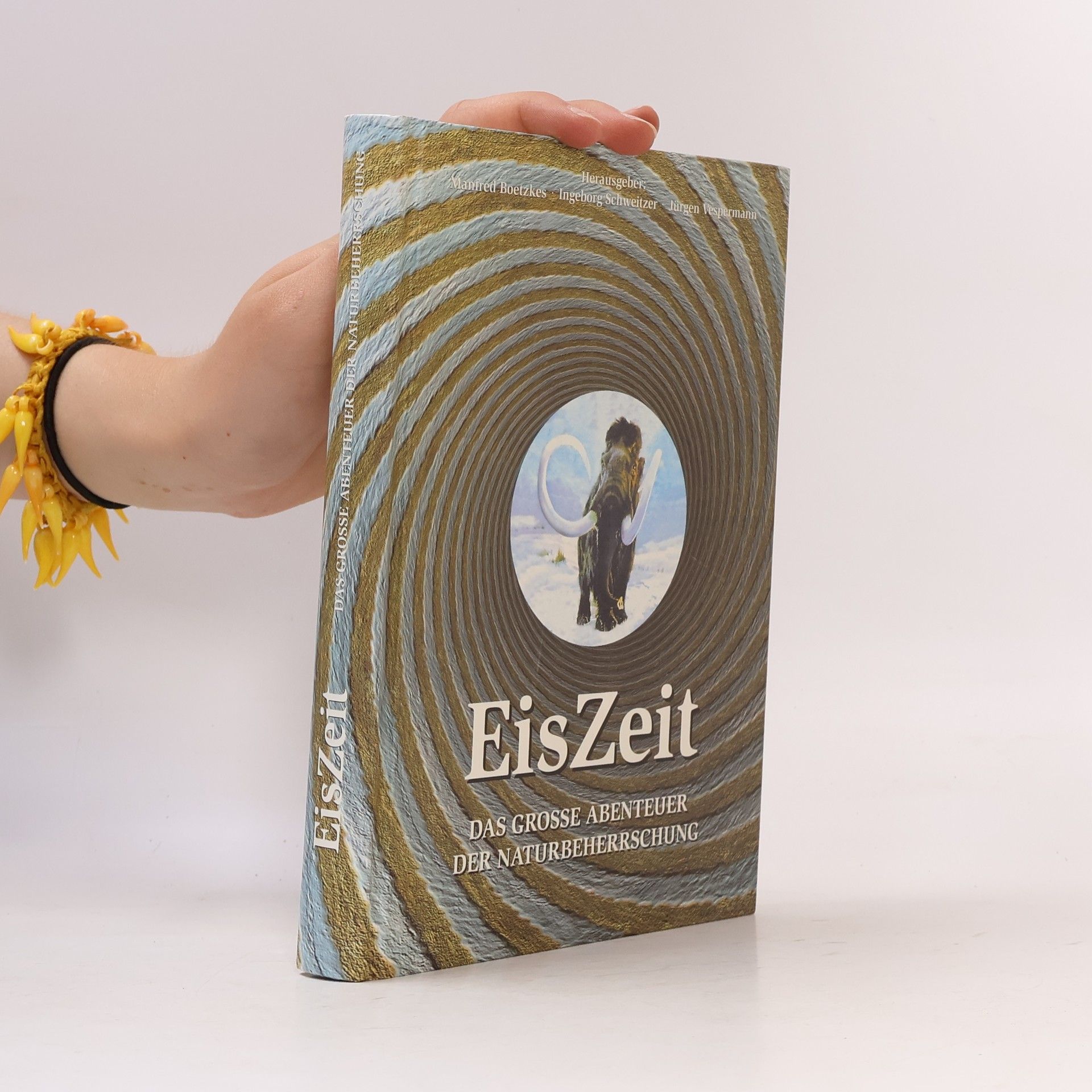 Manfred Boetzkes EisZeit