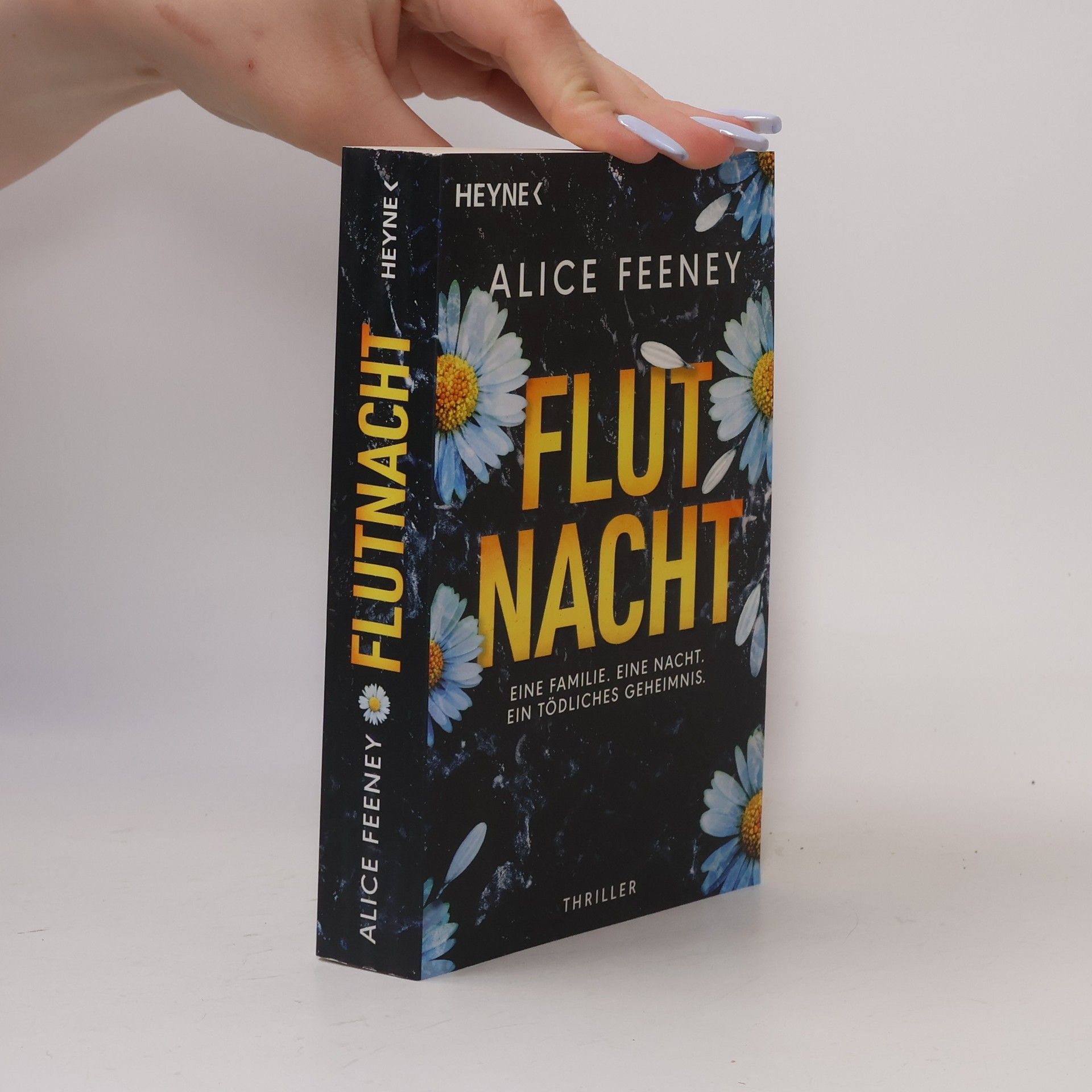 Alice Feeney Flutnacht – Eine Familie. Eine Nacht. Ein tödliches Geheimnis.. Thriller