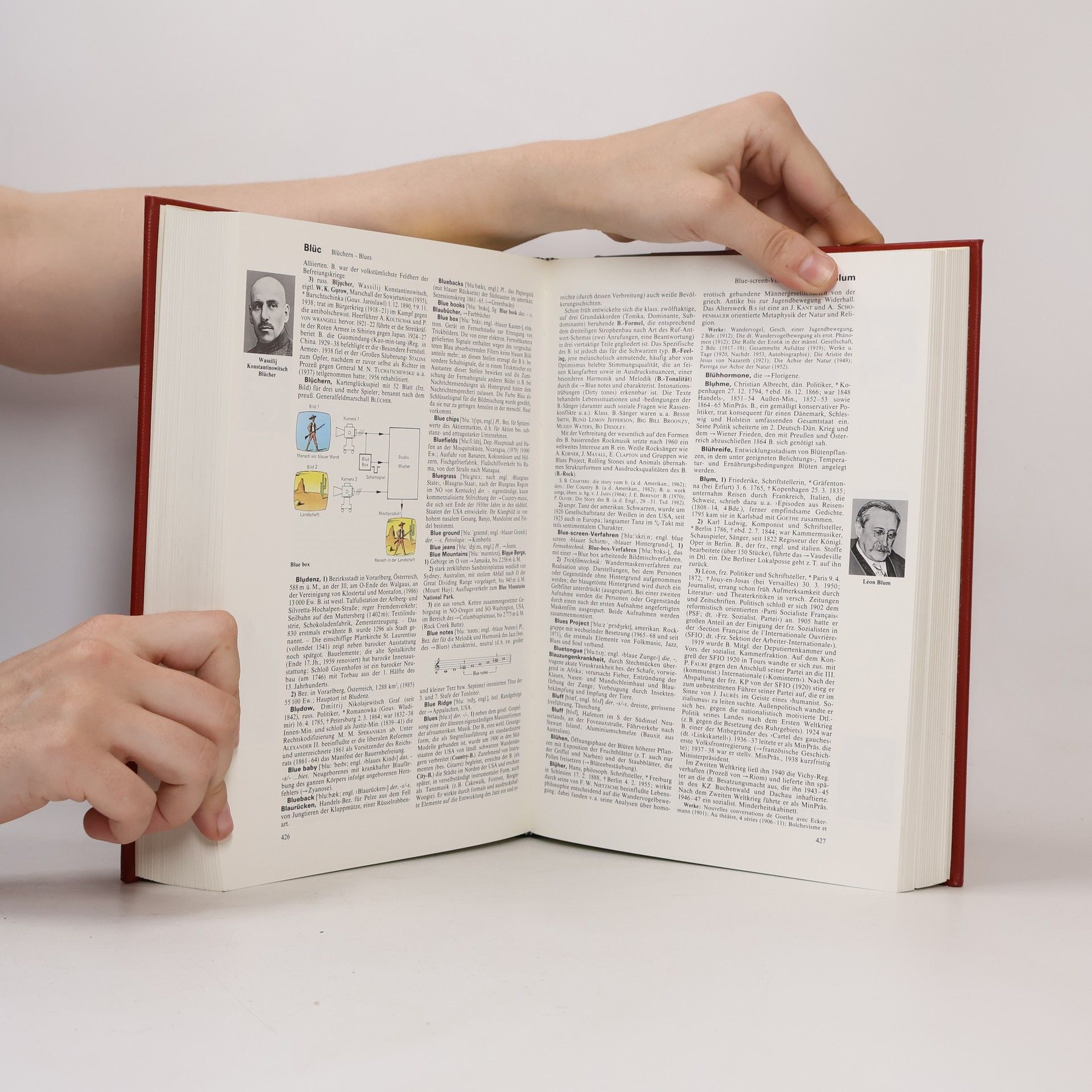 Various authors Brockhaus Enzyklopädie Band 3. BED-BRN