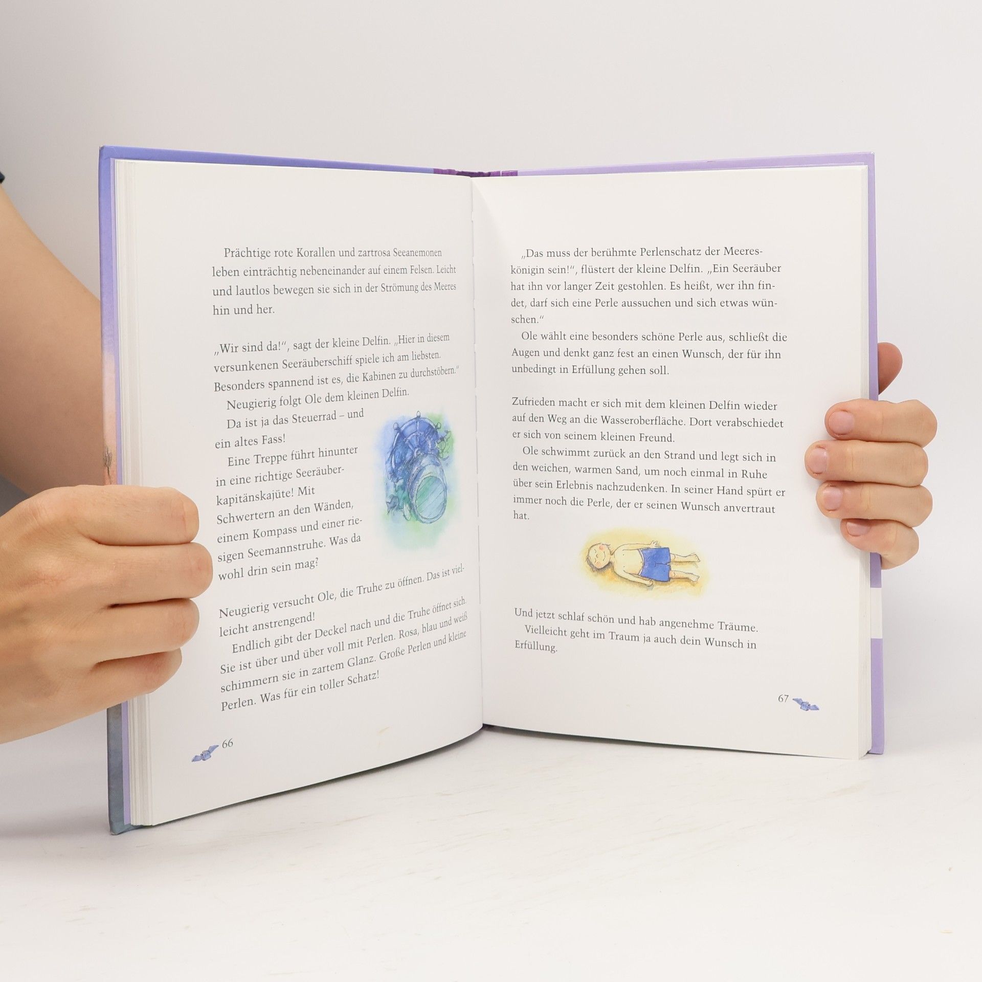 Autores varios Die Wunschfee. 56 Geschichten zum Vorlesen und Träumen