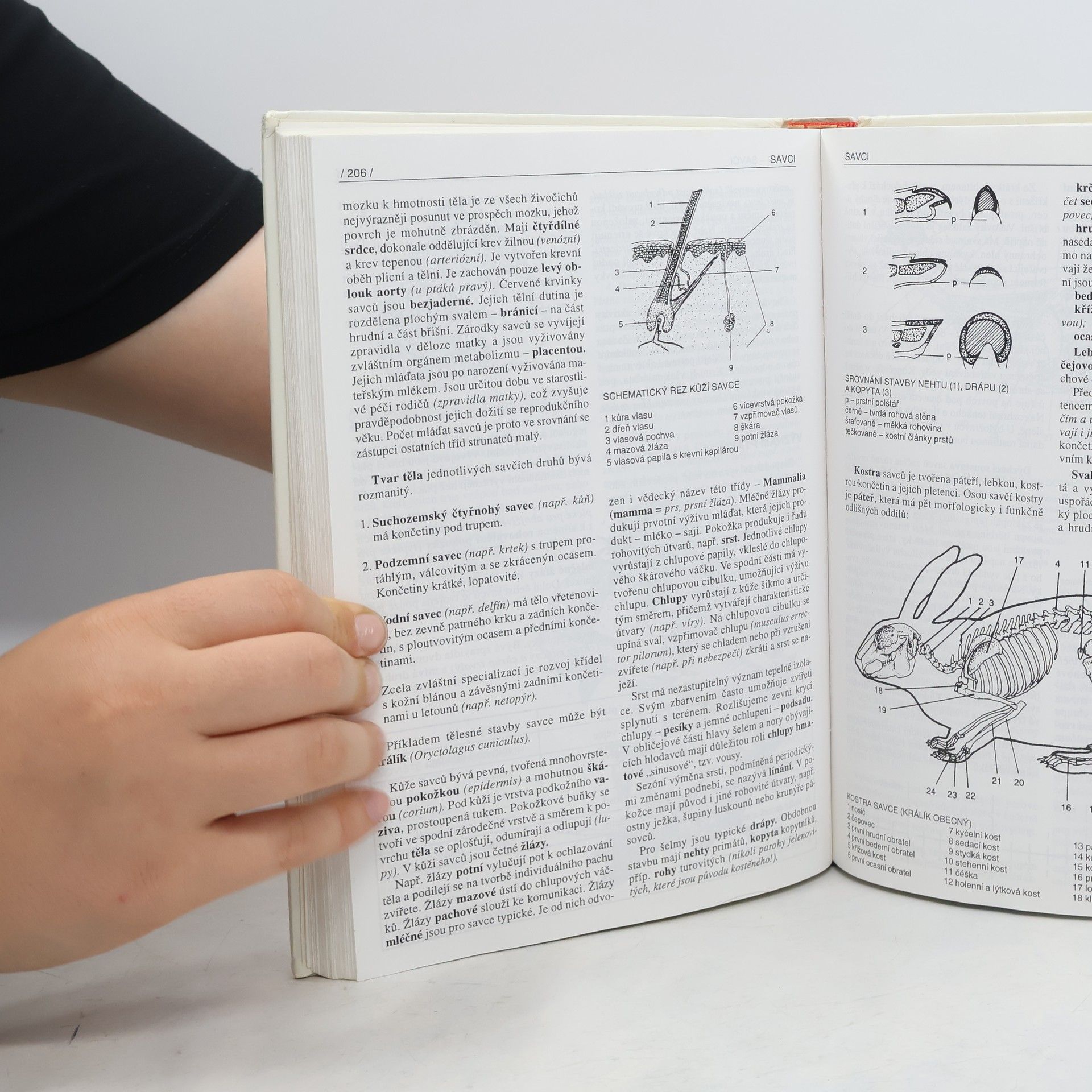 Jan Jelinek Biologie pro střední školy gymnazijního typu