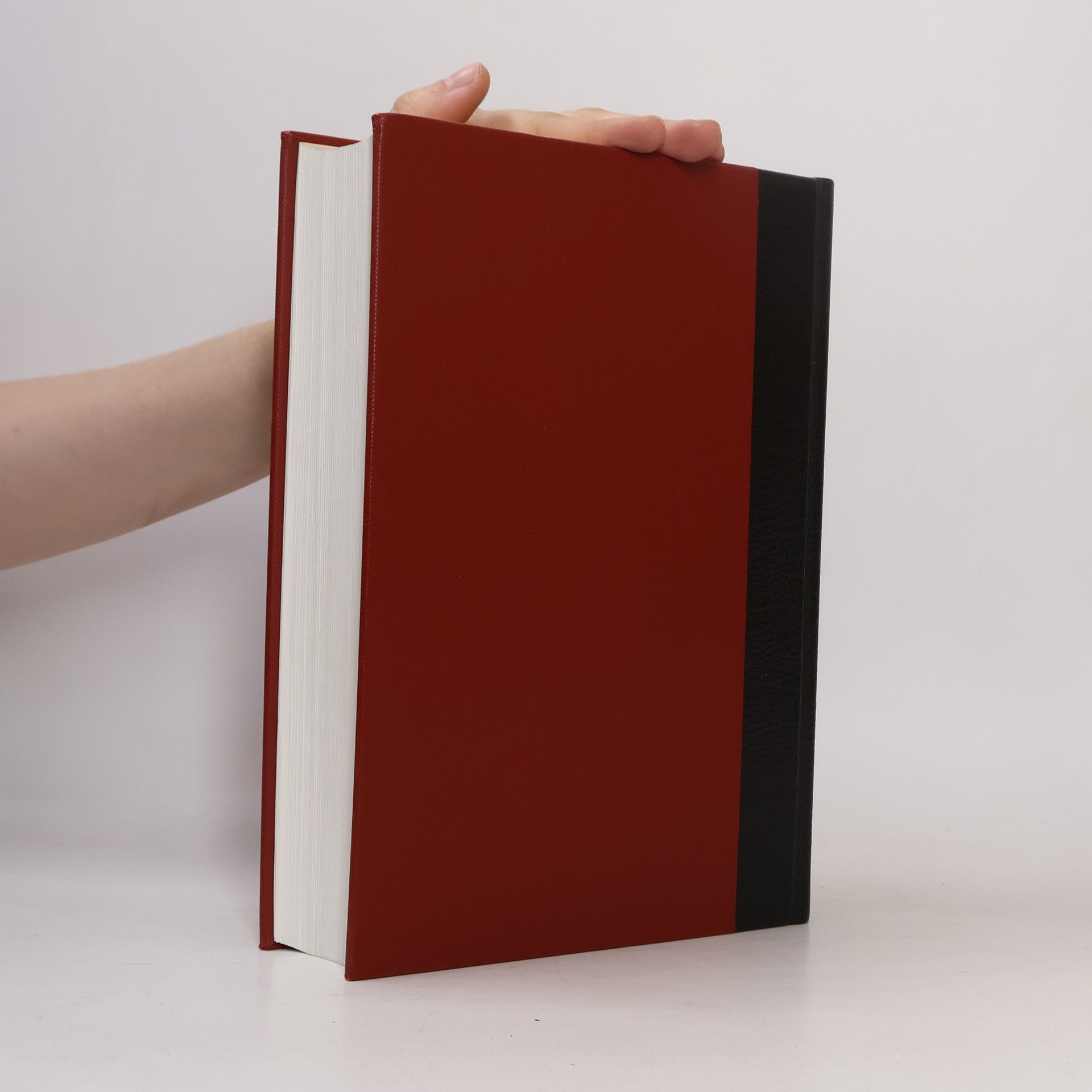 Autorenkollektiv Brockhaus. Die Enzyklopädie 12 (Kir-Lagh)