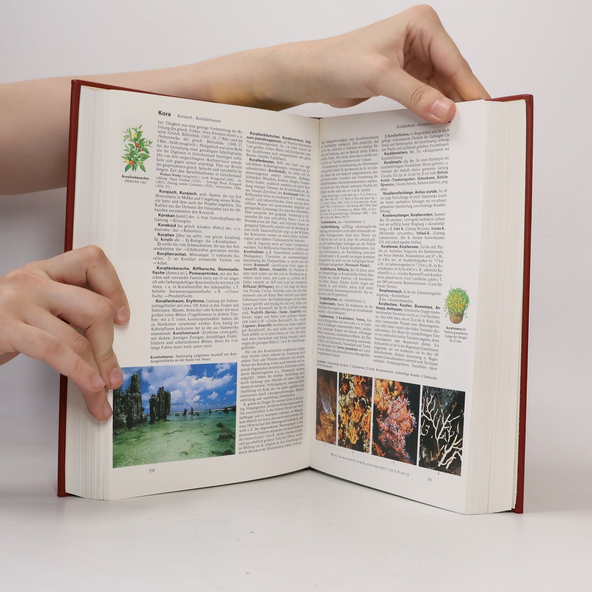 Autorenkollektiv Brockhaus. Die Enzyklopädie 12 (Kir-Lagh)