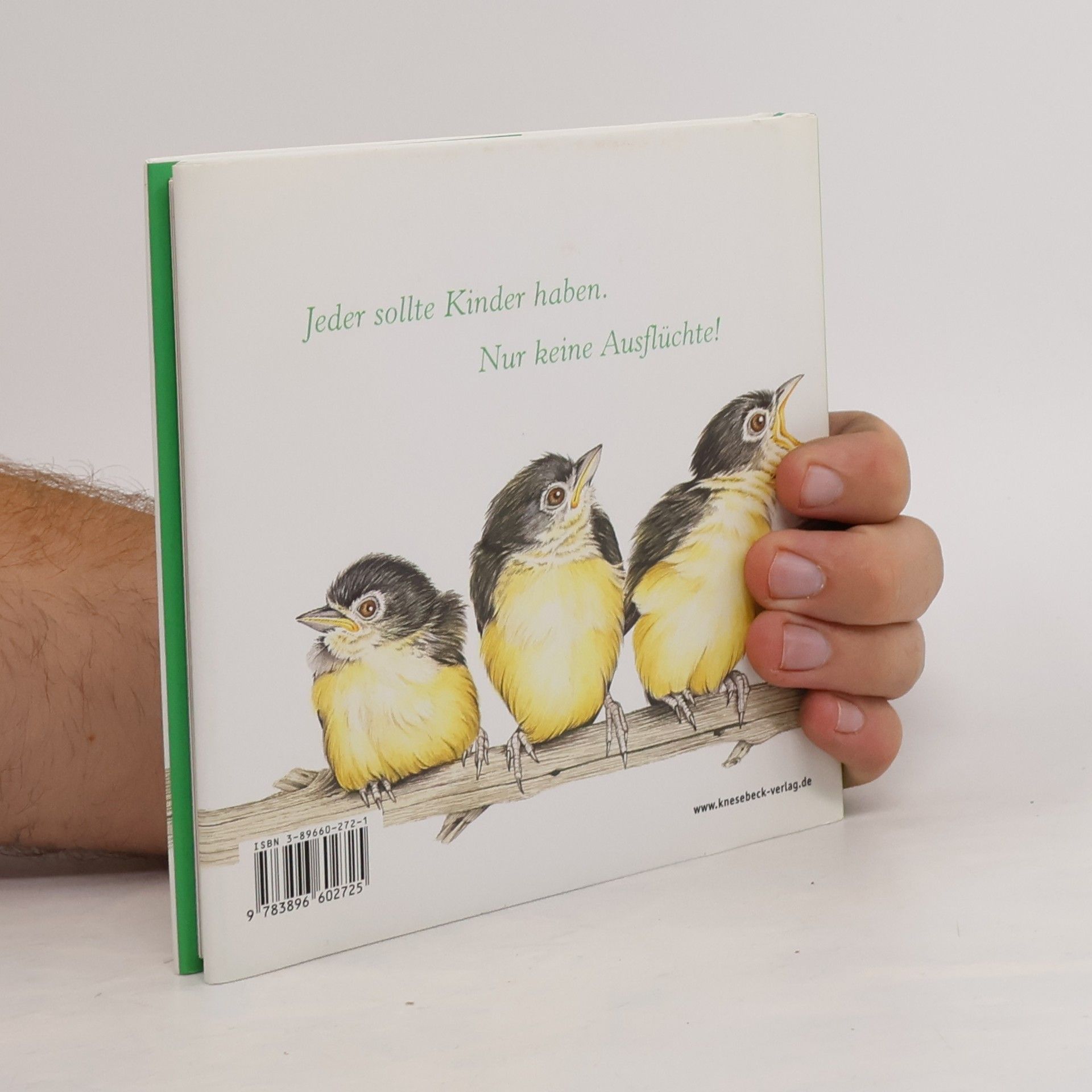 Jane Seabrook Fellosophie für eltern: Tierisch gute alltagstipps