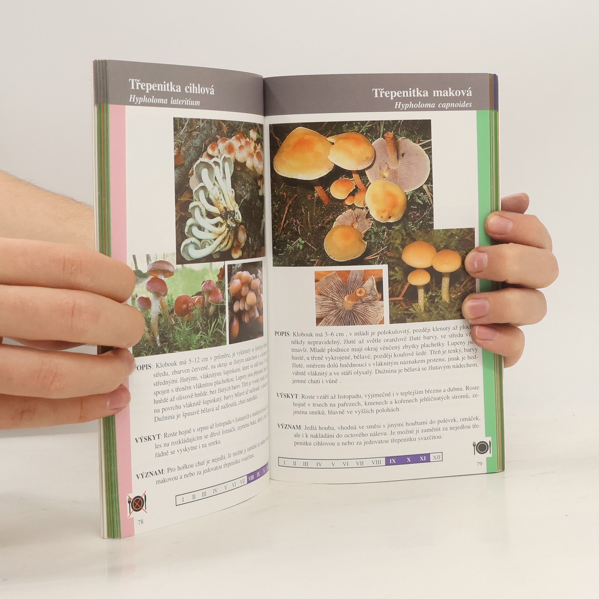 Collectif d'auteurs Atlas hub Atlas hub do kapsy