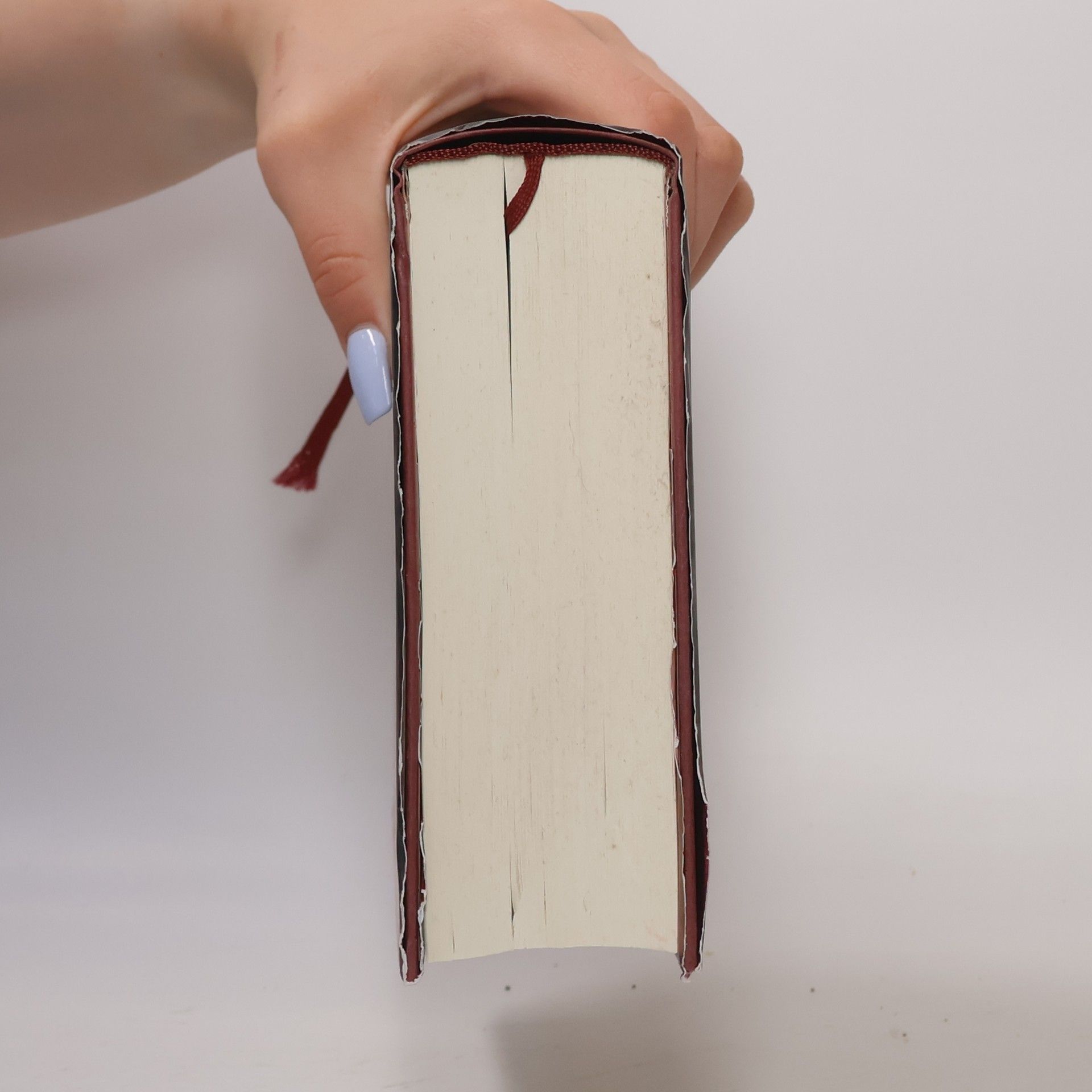 Stephenie Meyer Biss zum Abendrot