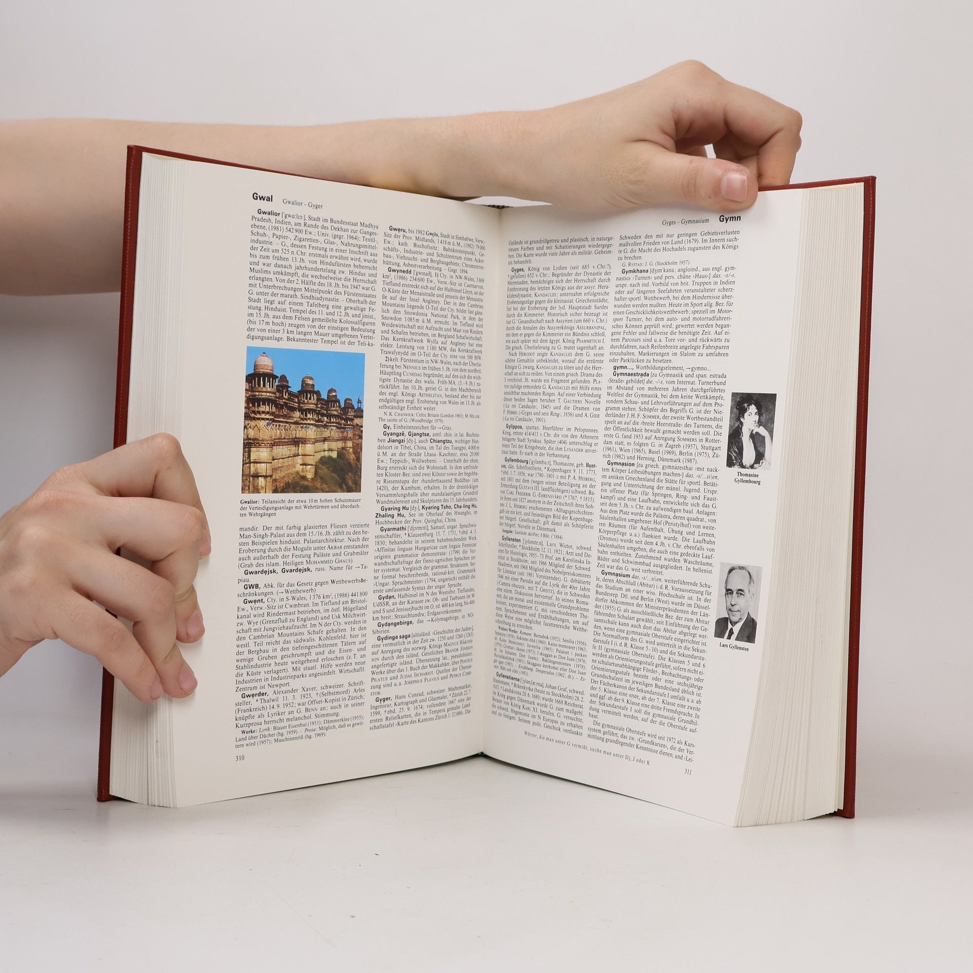 Autorenkollektiv Brockhaus Enzyklopädie 9 (GOT-HERP)