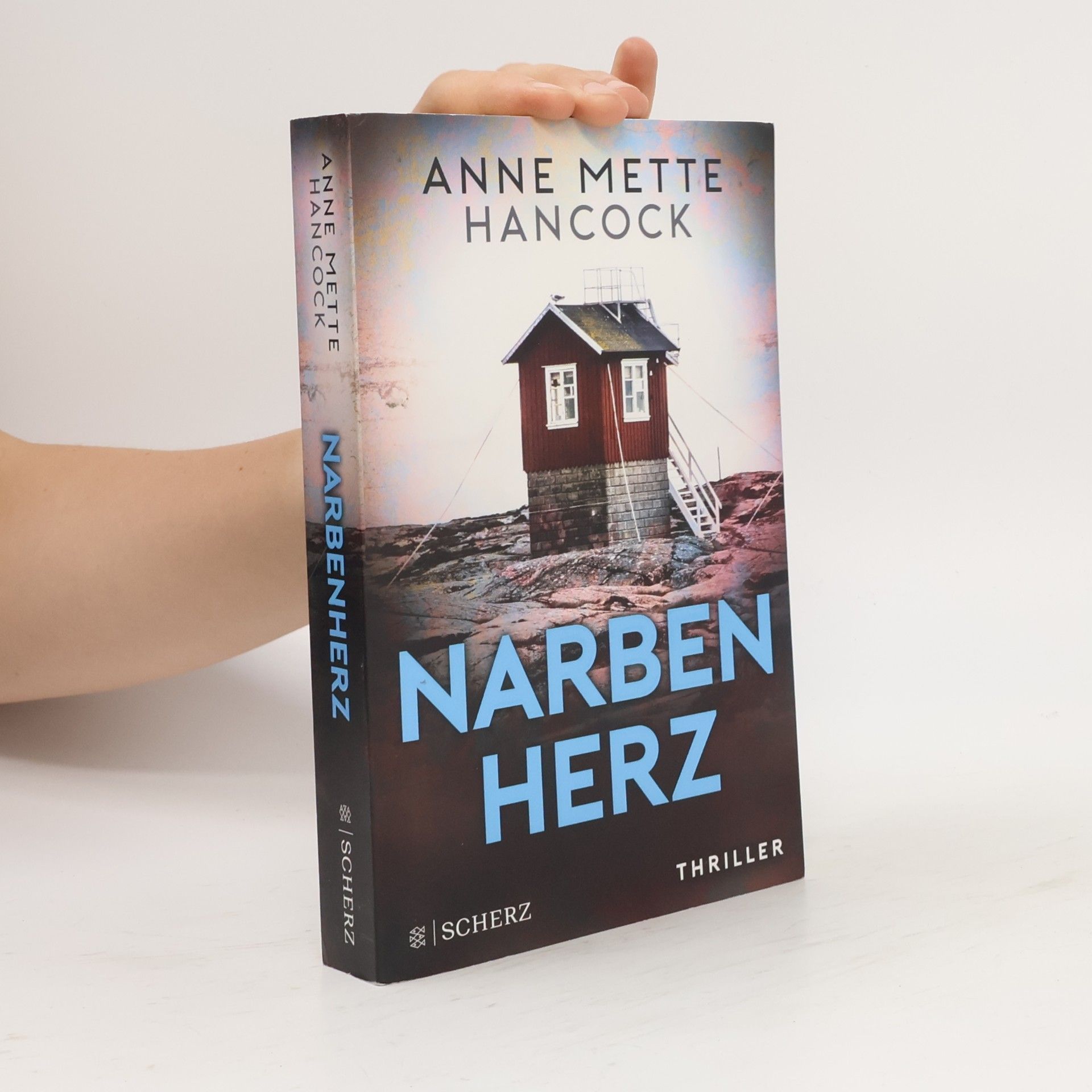 Anne Mette Hancock Narbenherz