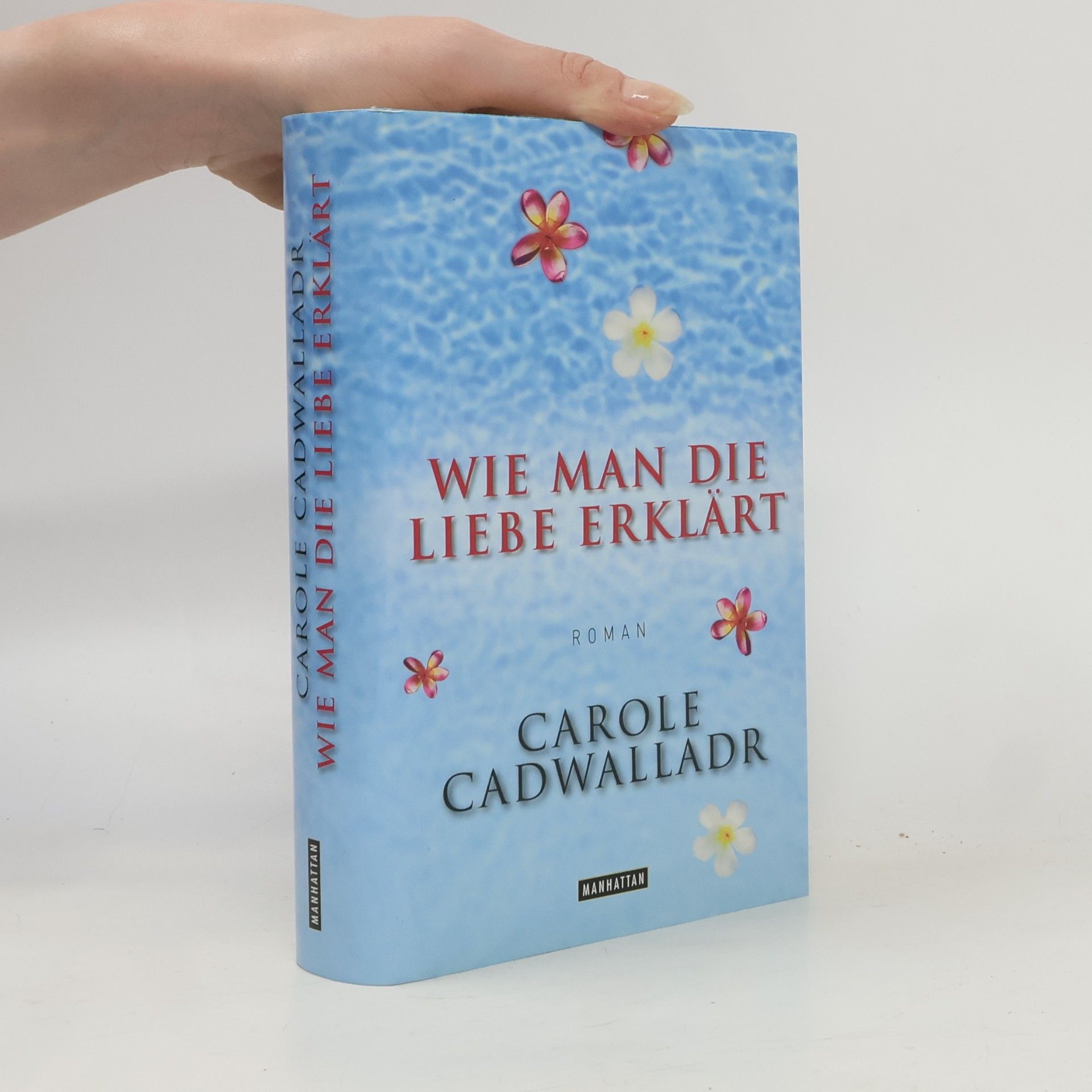 Carole Cadwalladr Wie man die Liebe erklärt