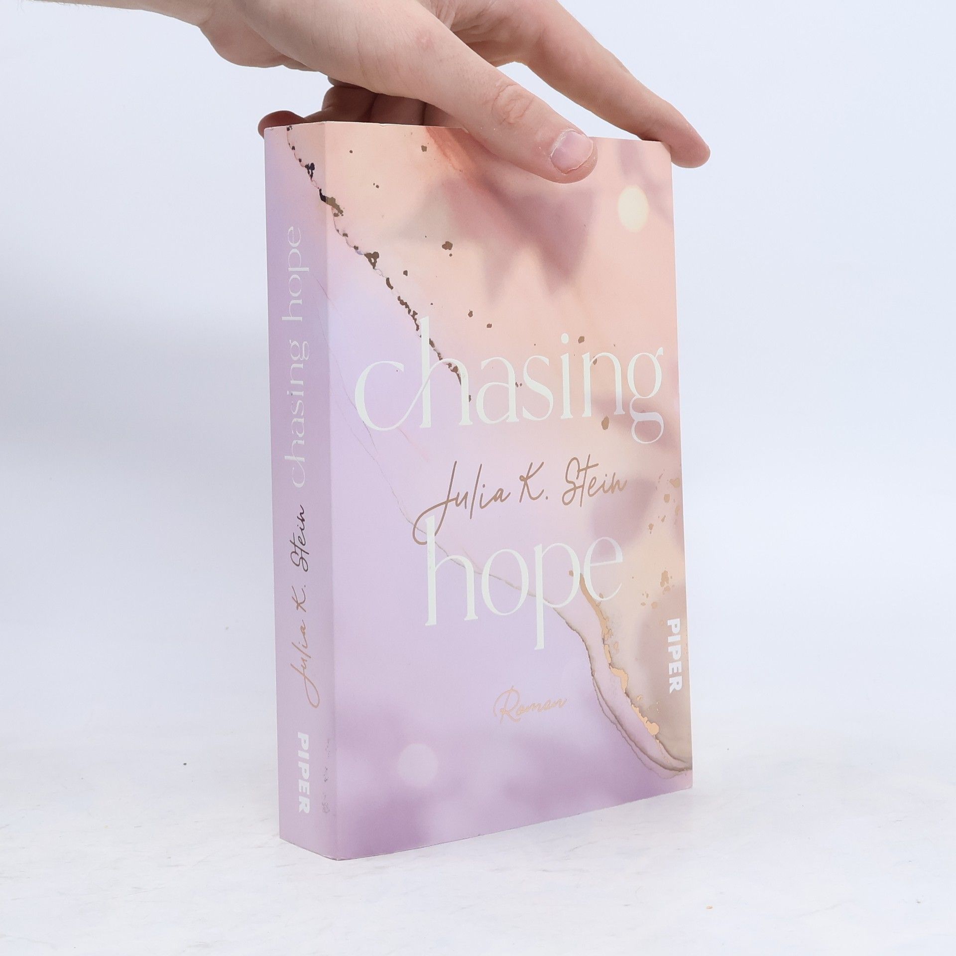 Julia K. Stein Chasing Hope
