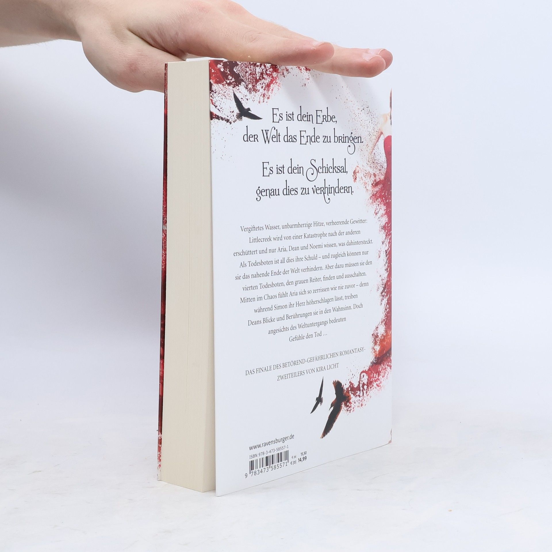 Kira Licht Lovely Curse: Botin des Schicksals