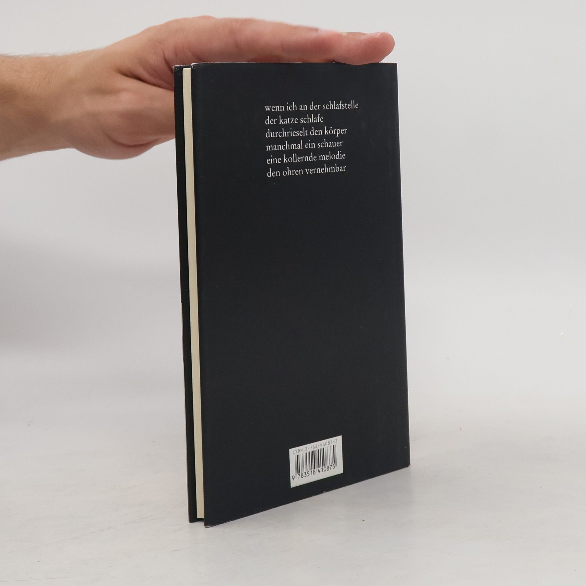 Zbigniew Herbert Gewitter Epilog