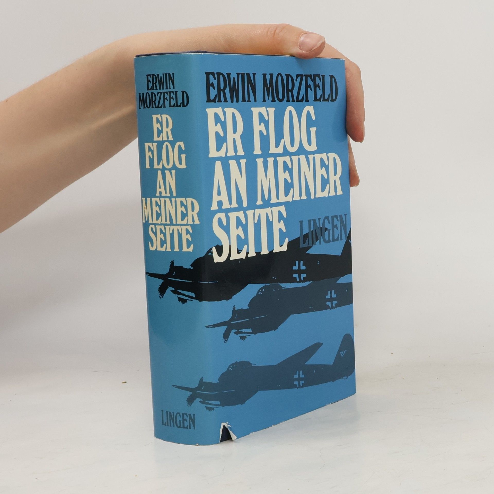 Erwin Morzfeld Er flog an meiner Seite