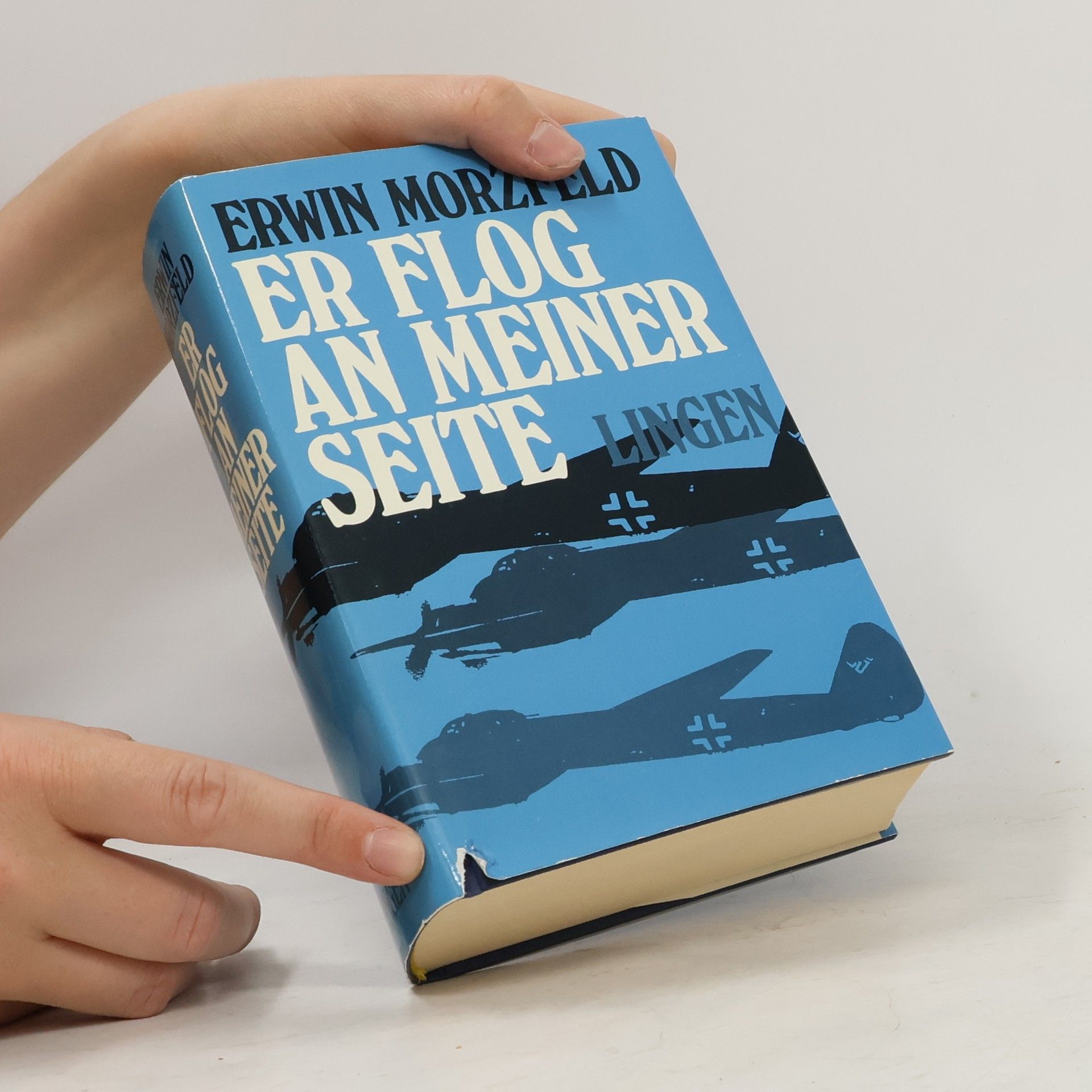 Erwin Morzfeld Er flog an meiner Seite