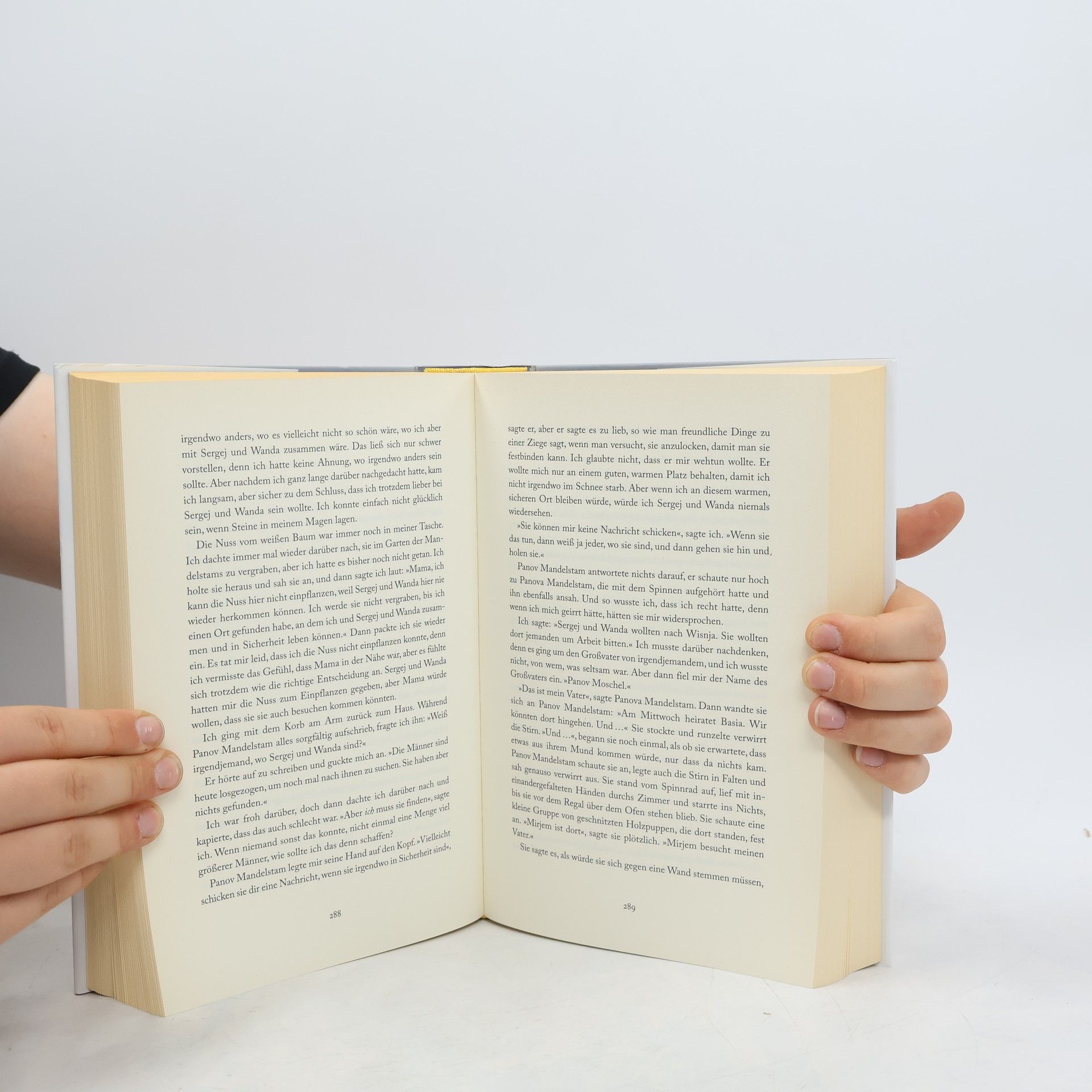 Naomi Novik Das kalte Reich des Silbers