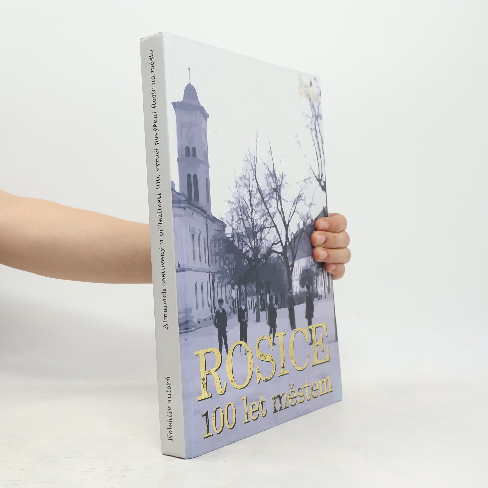 Collectif d'auteurs Rosice 100 let městem: 1907-2007