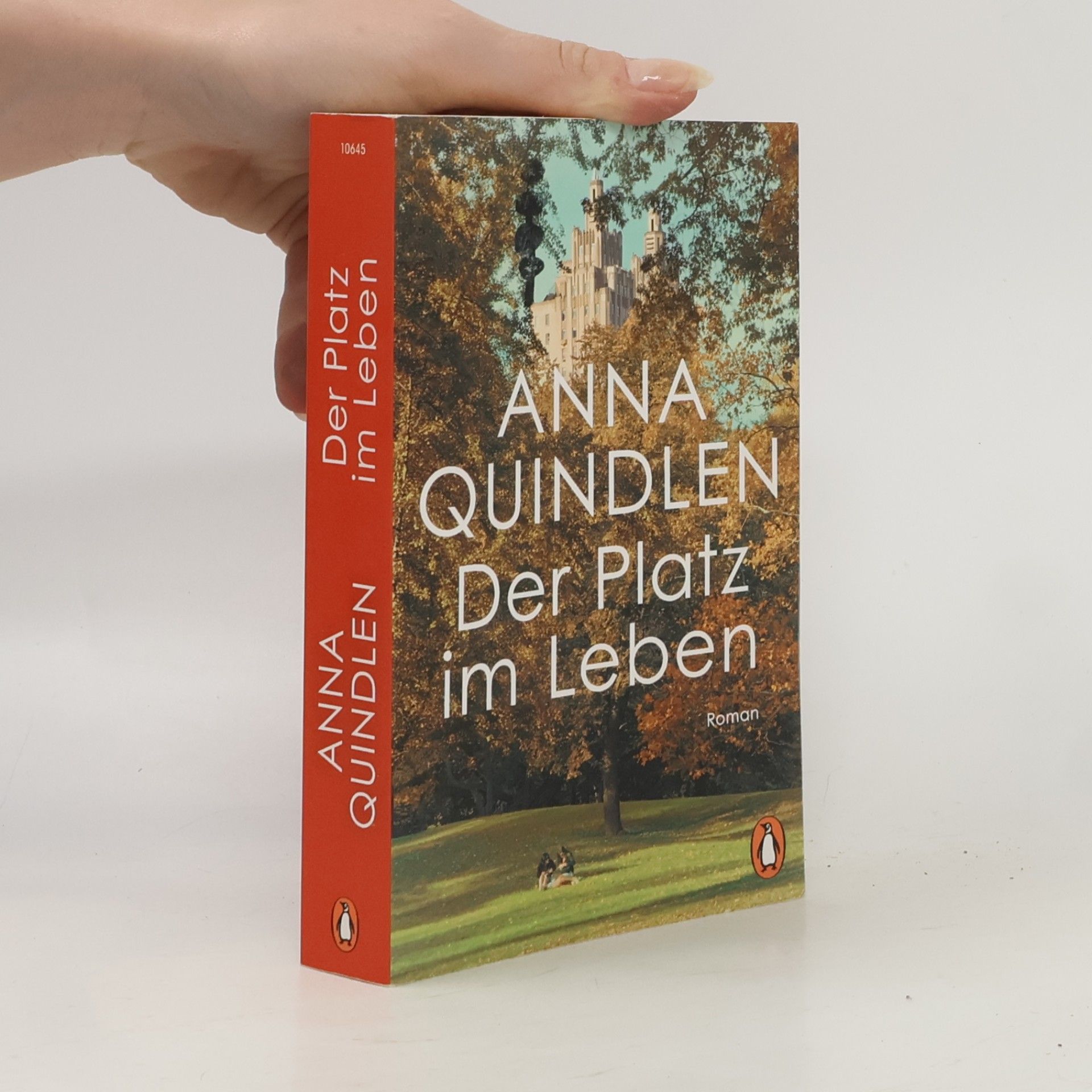 Anna Quindlen Der Platz im Leben
