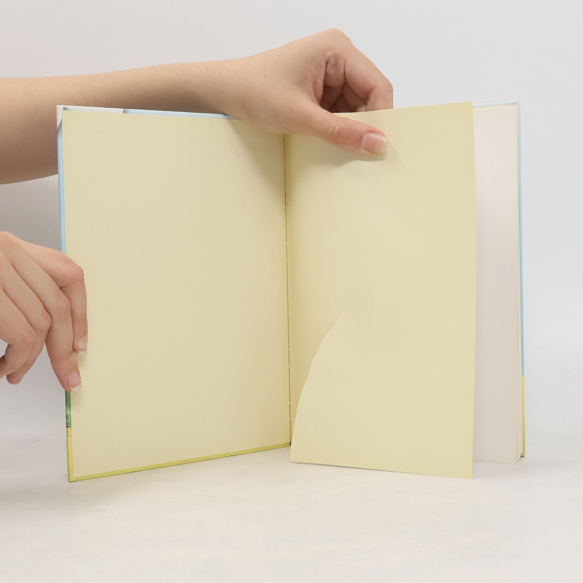 Das große Buch der Leselöwen