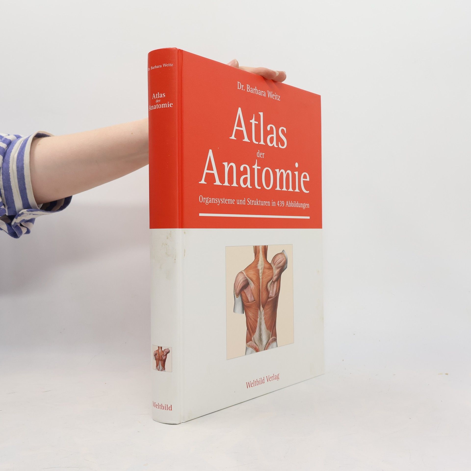 Barbara Weitz Atlas der Anatomie