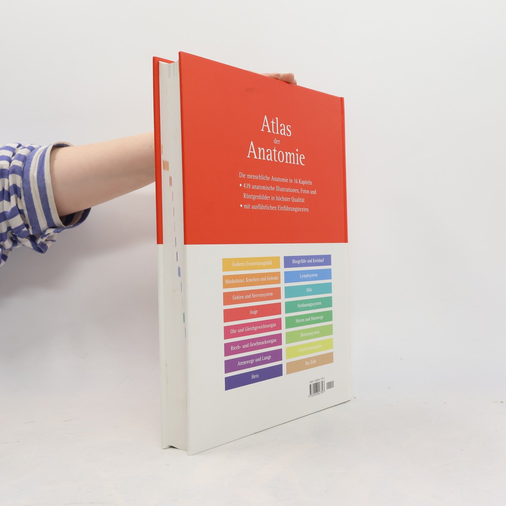 Barbara Weitz Atlas der Anatomie