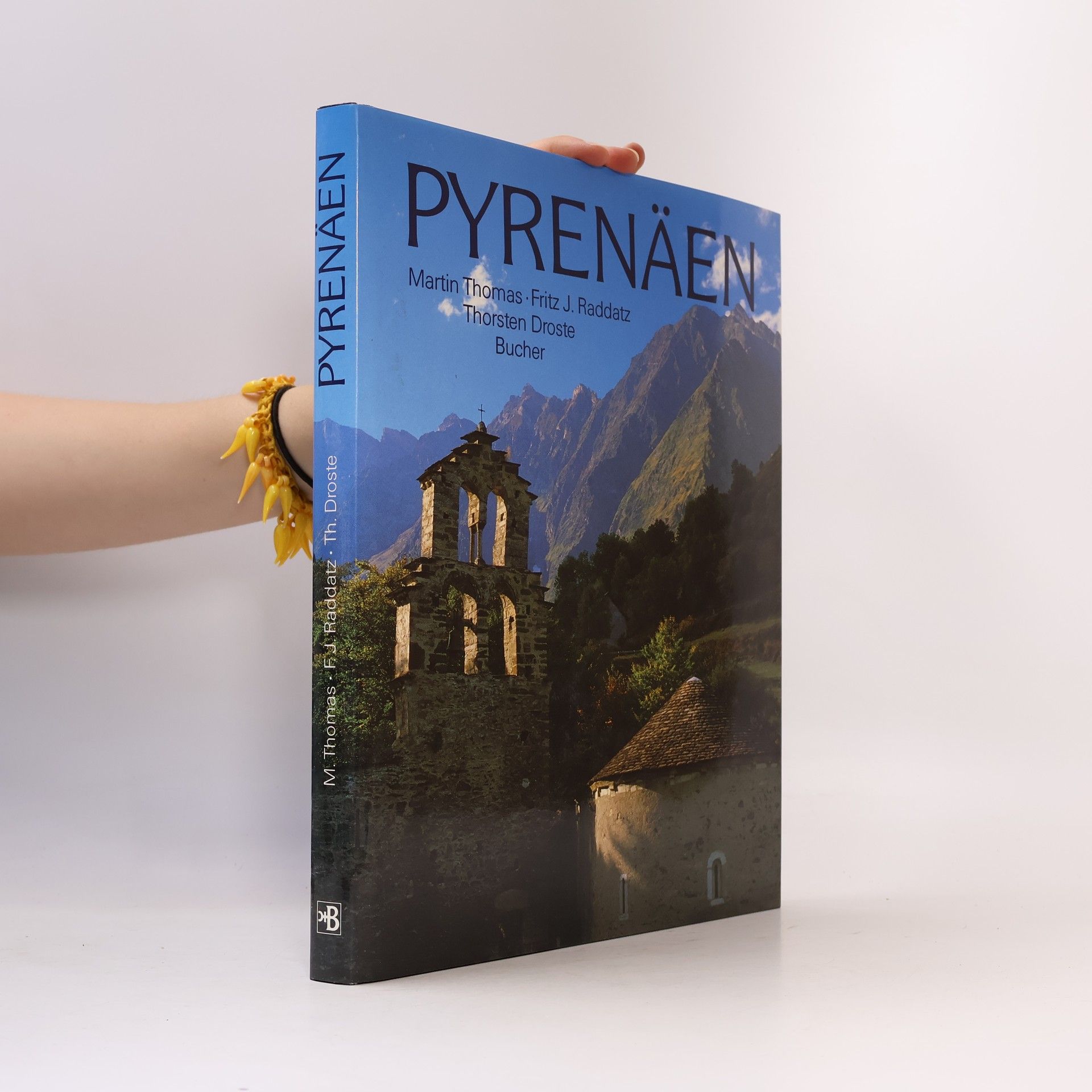 Pyrenäen