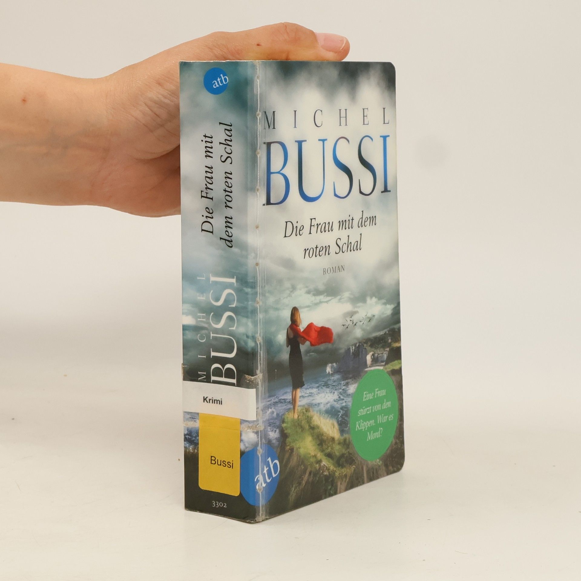 Michel Bussi Die Frau mit dem roten Schal