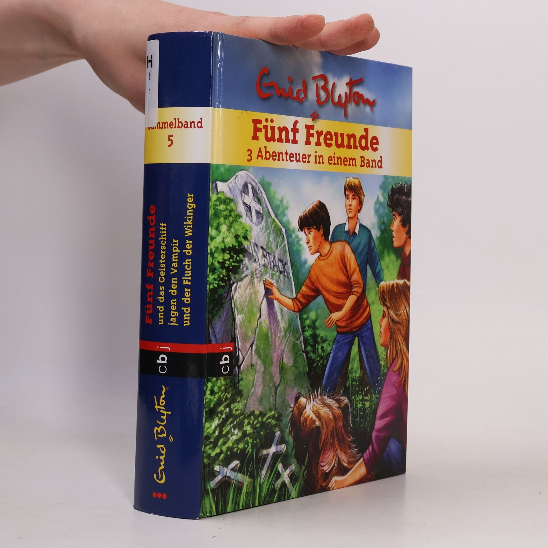 Enid Blyton Sammelband 1. Fünf Freunde - 3 Abenteuer in einem Band