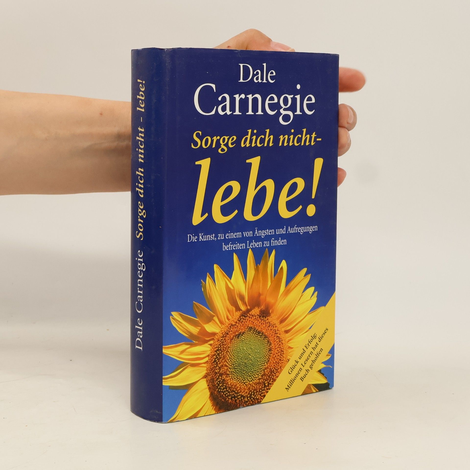 Dale Carnegie Sorge dich nicht - lebe!