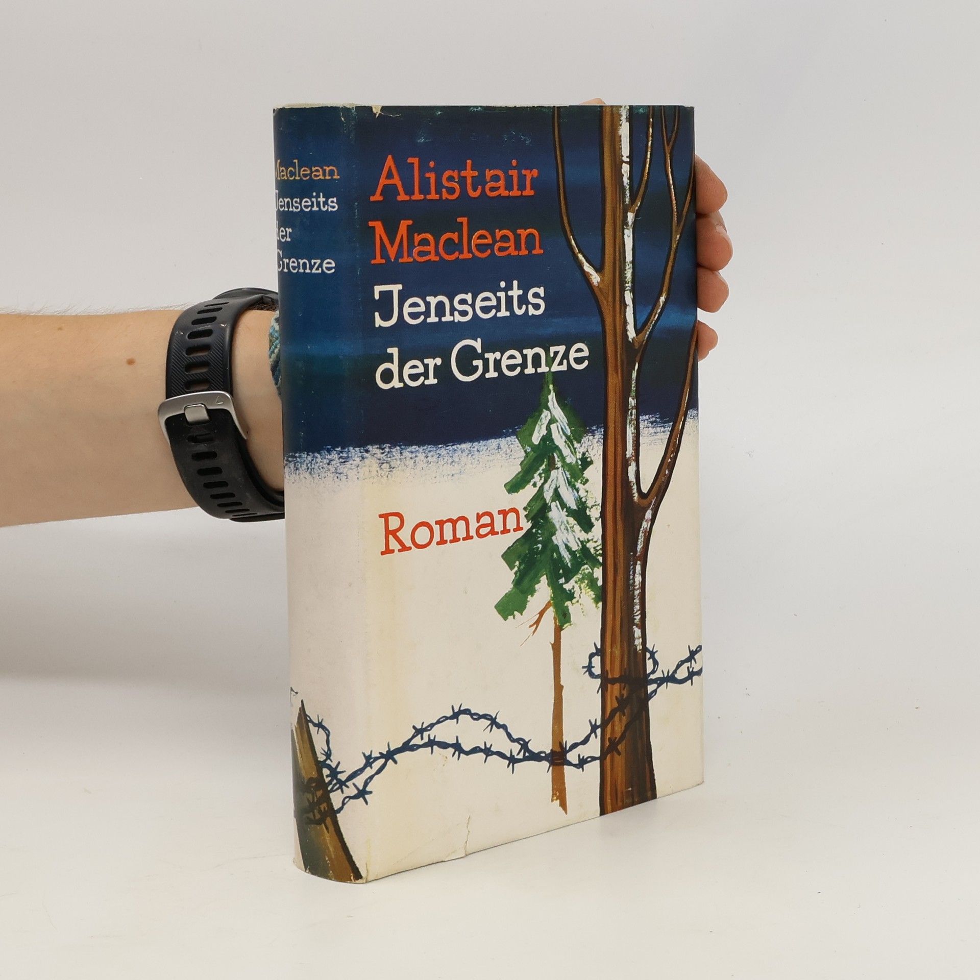 Alistair MacLean Jenseits der Grenze
