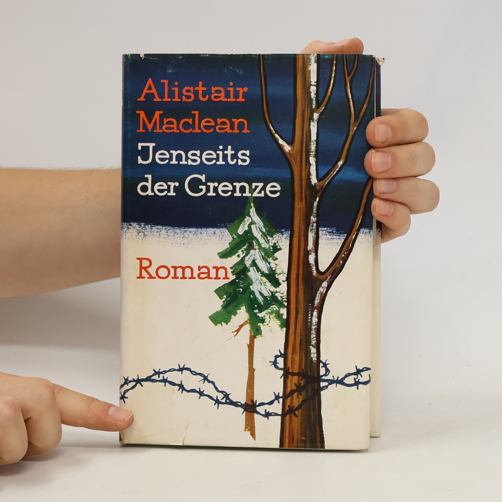 Alistair MacLean Jenseits der Grenze