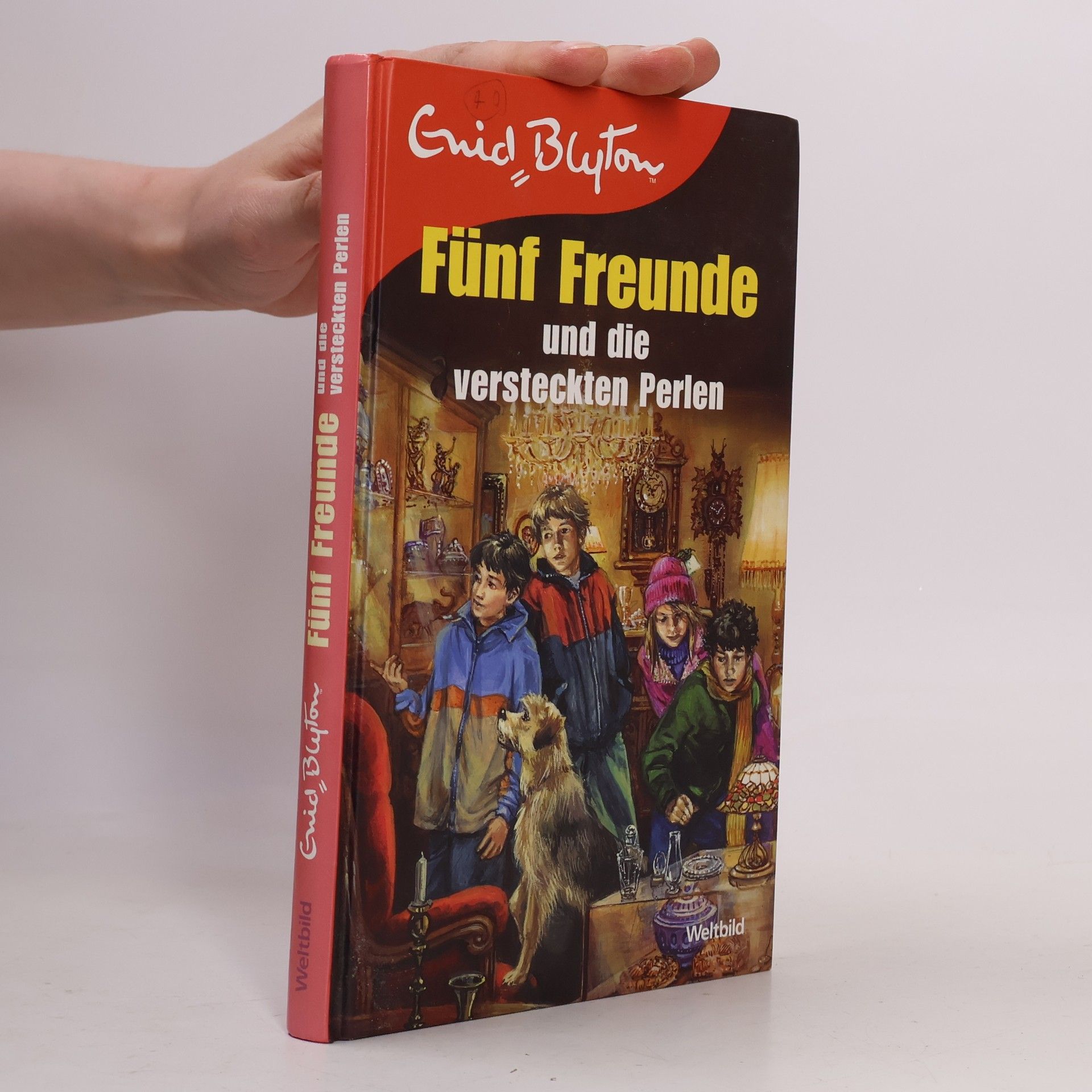 Enid Blyton Fünf Freunde und die verstecken Perlen