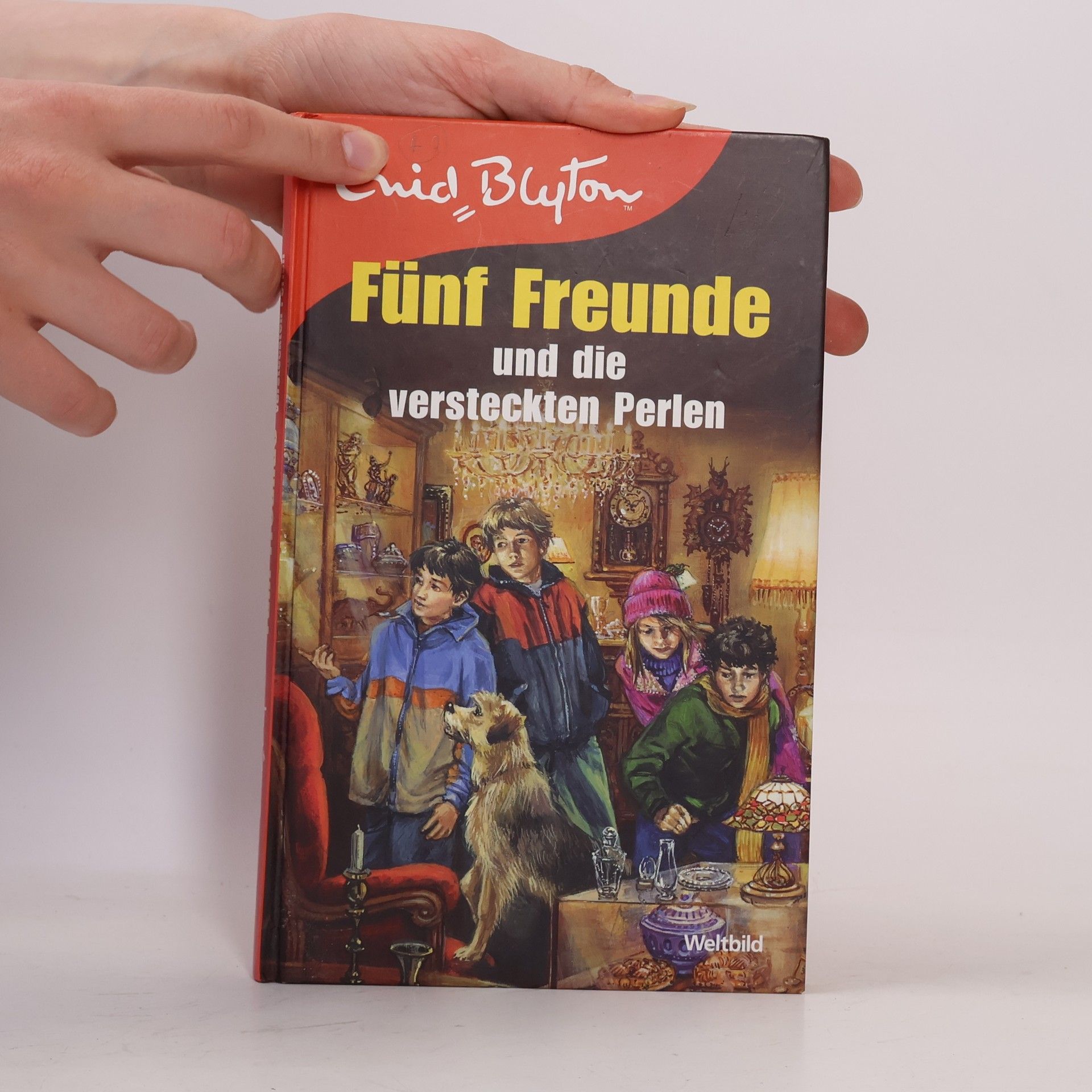 Enid Blyton Fünf Freunde und die verstecken Perlen