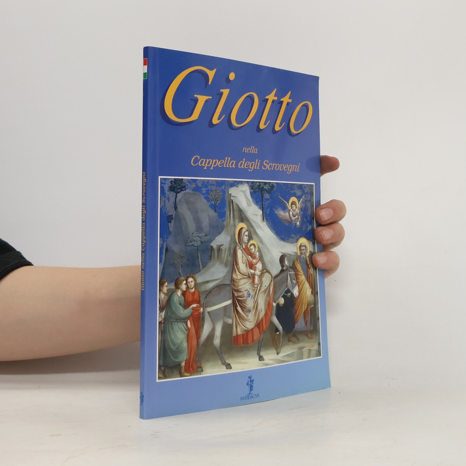 S. Poletti Giotto in the Chapel of the Scrovegni