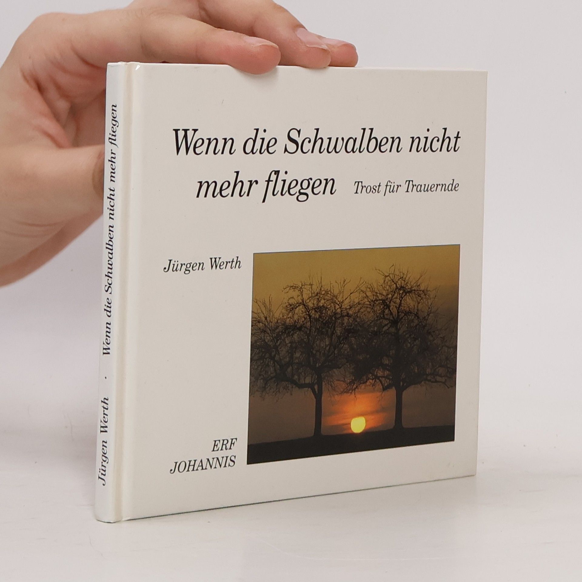 Wenn die Schwalben nicht mehr fliegen