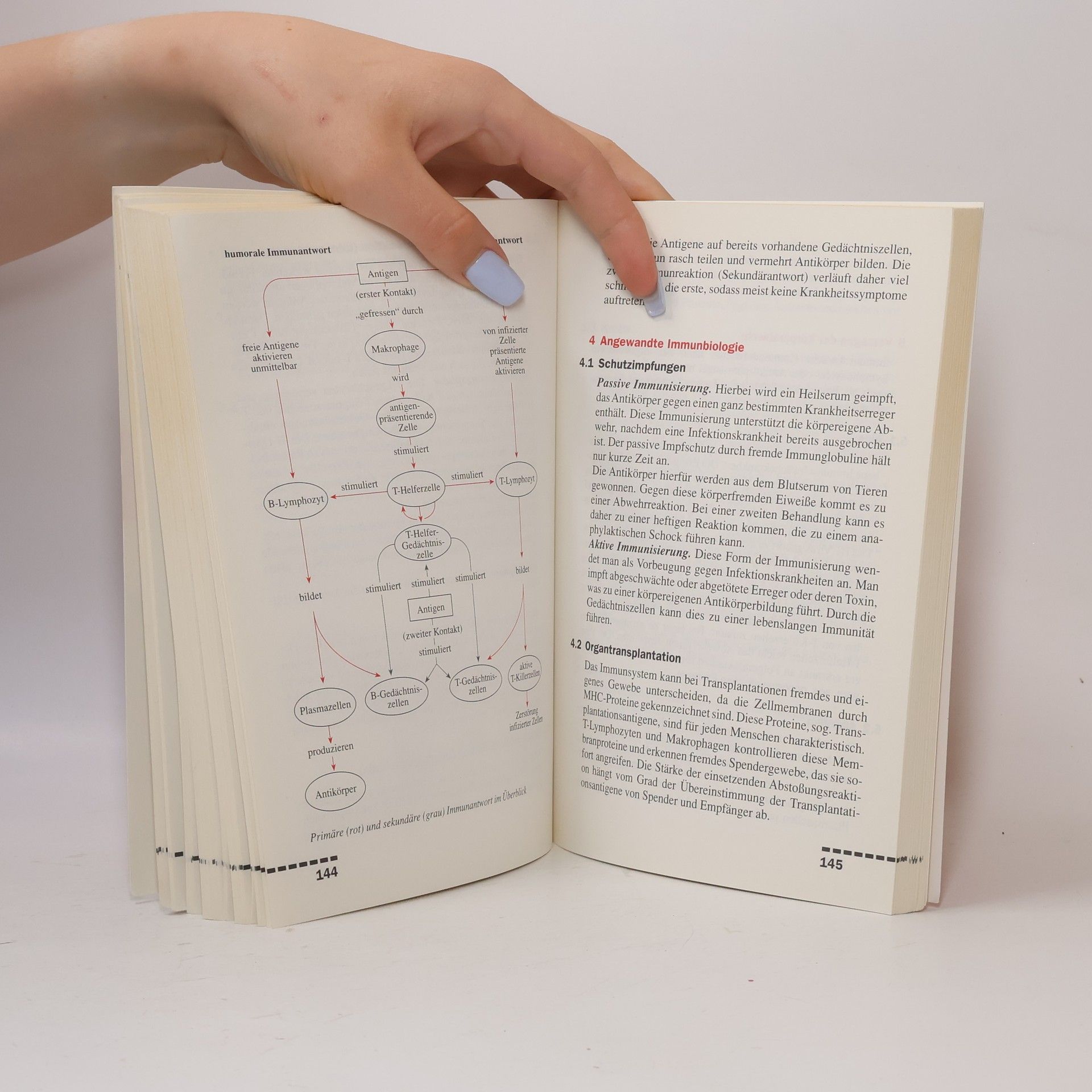 Various authors Cornelsen Abiturwissen kompakt