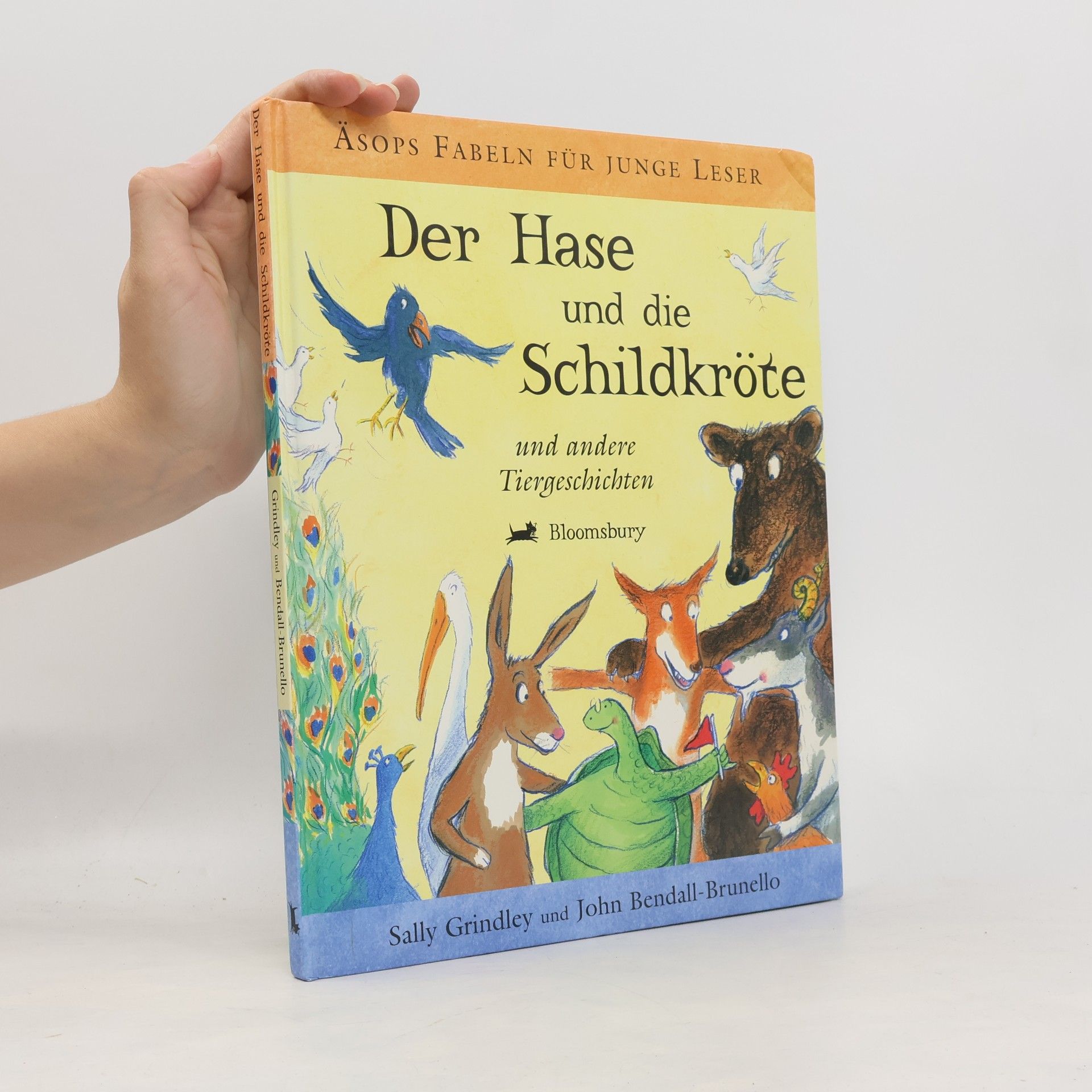 Gesa Schweighoffer Der Hase und die Schildkröte und andere Tiergeschichten