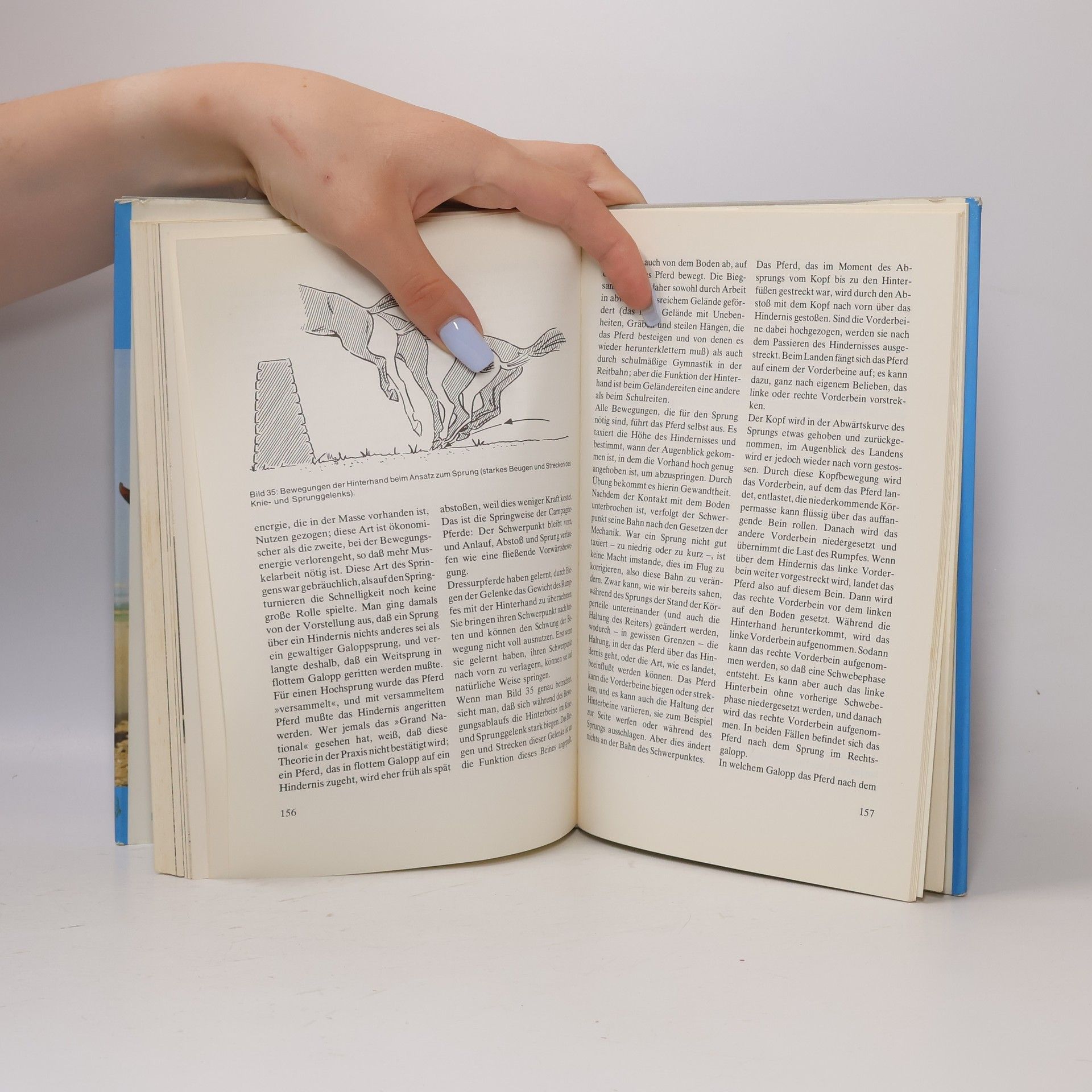 Hugo Treffers Hippologische Handbibliothek: Handbuch des Pferdeverhaltens