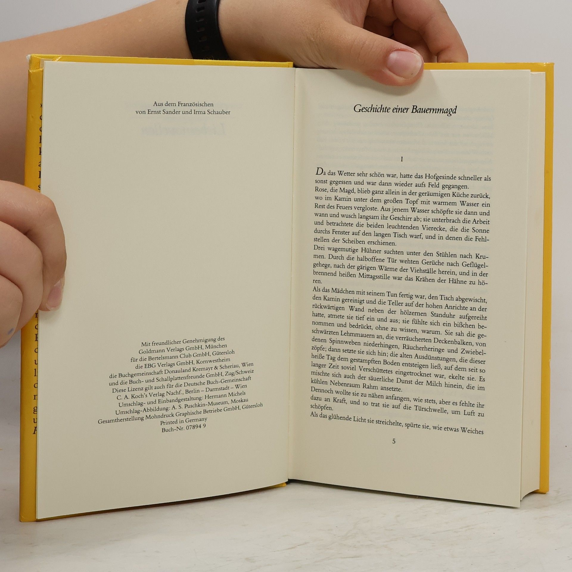 Guy de Maupassant Liebesnovellen