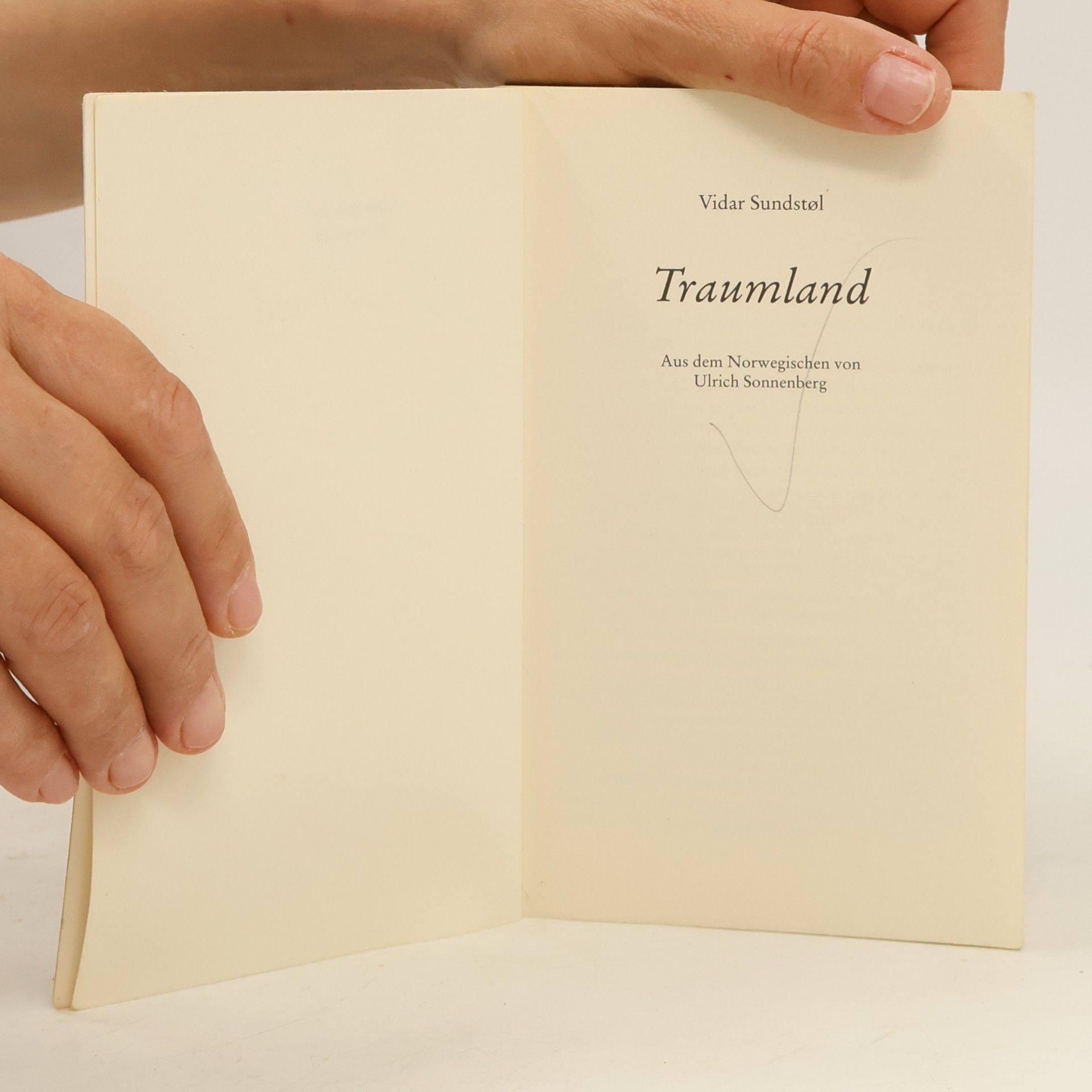 Vidar Sundstøl Traumland