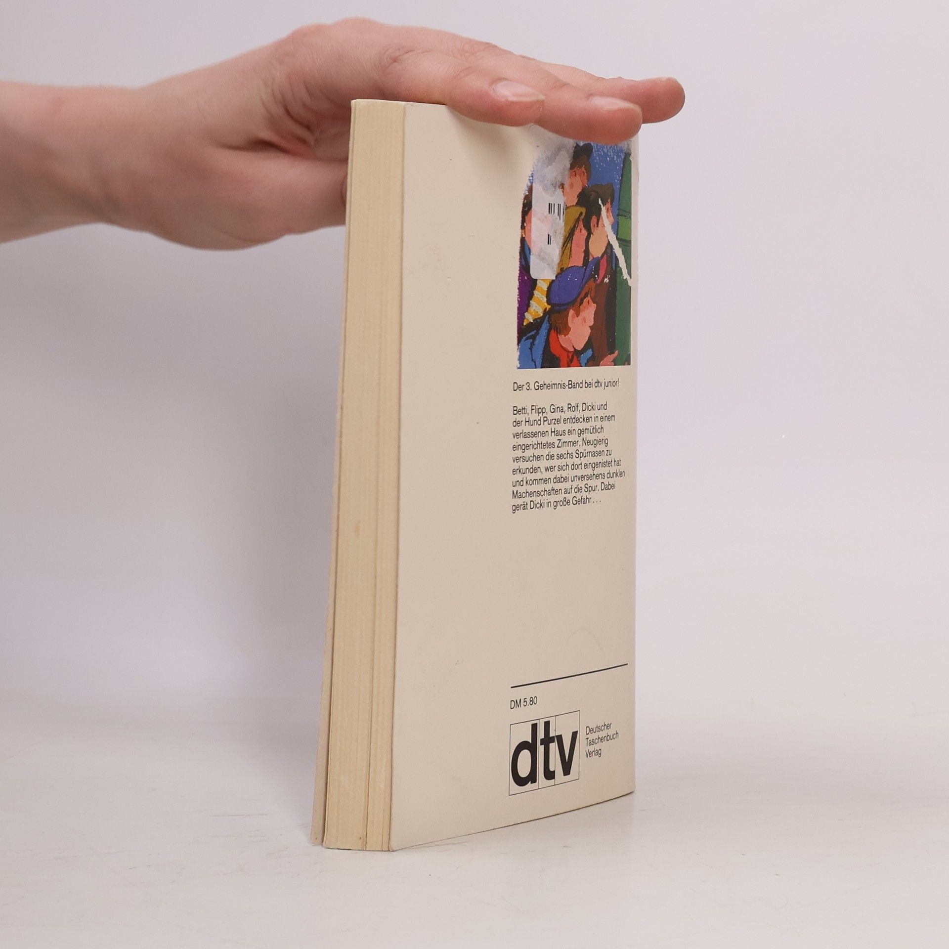 Enid Blyton Geheimnis um ein verborgenes Zimmer