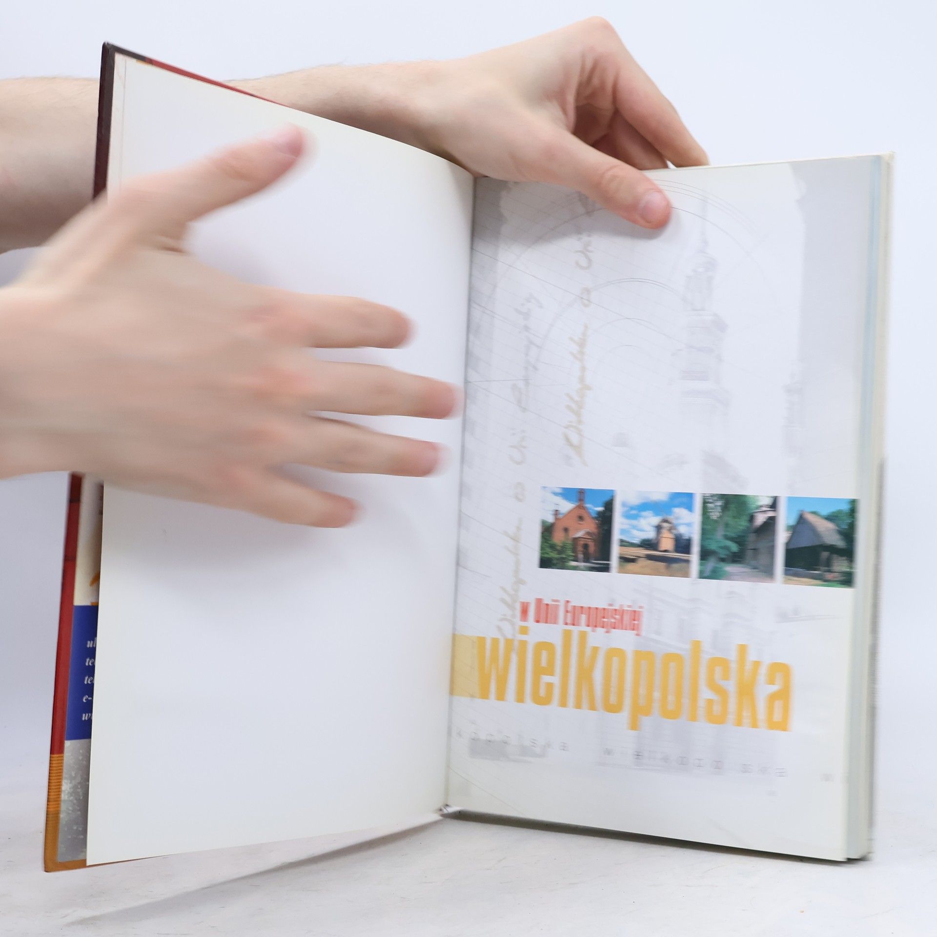 Krystyna Szczaniecka Wielkopolskie 2003: Wielkopolska w Unii Europejskiej