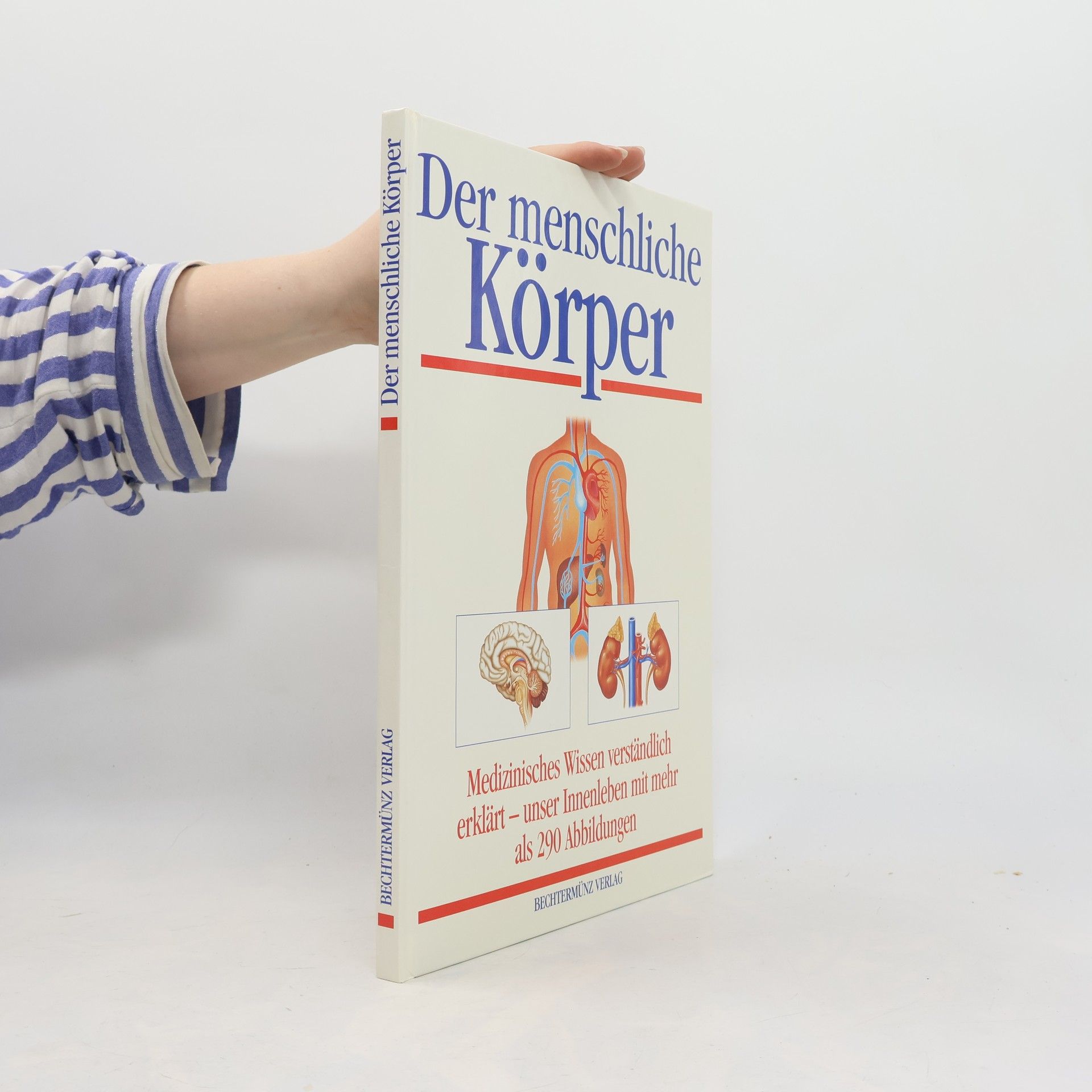 Michael Damm Der menschliche Körper