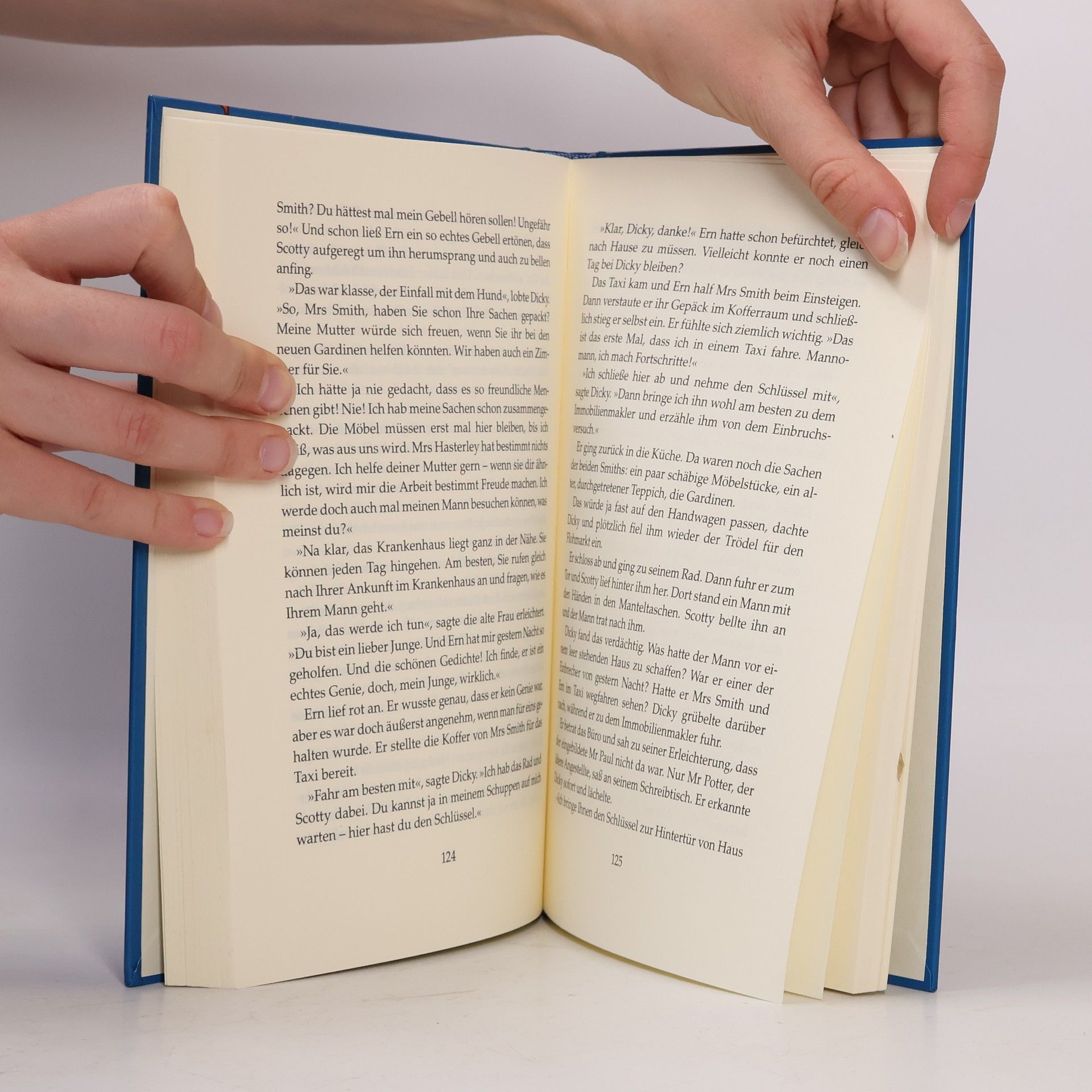 Enid Blyton Geheimnis um eine Efeuvilla