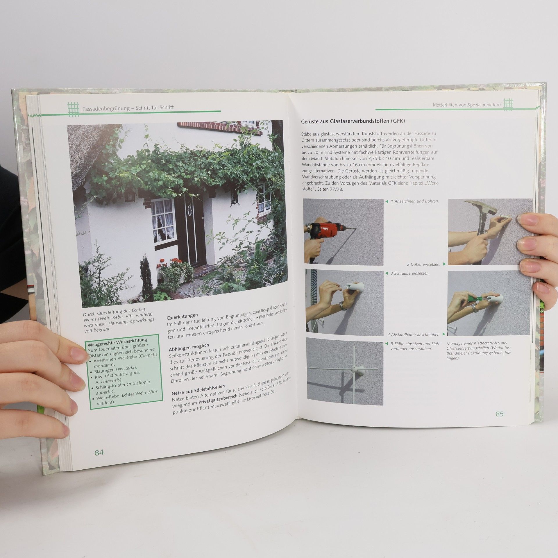 Rita Gunkel Der Gartenprofi: Fassadenbegrünung