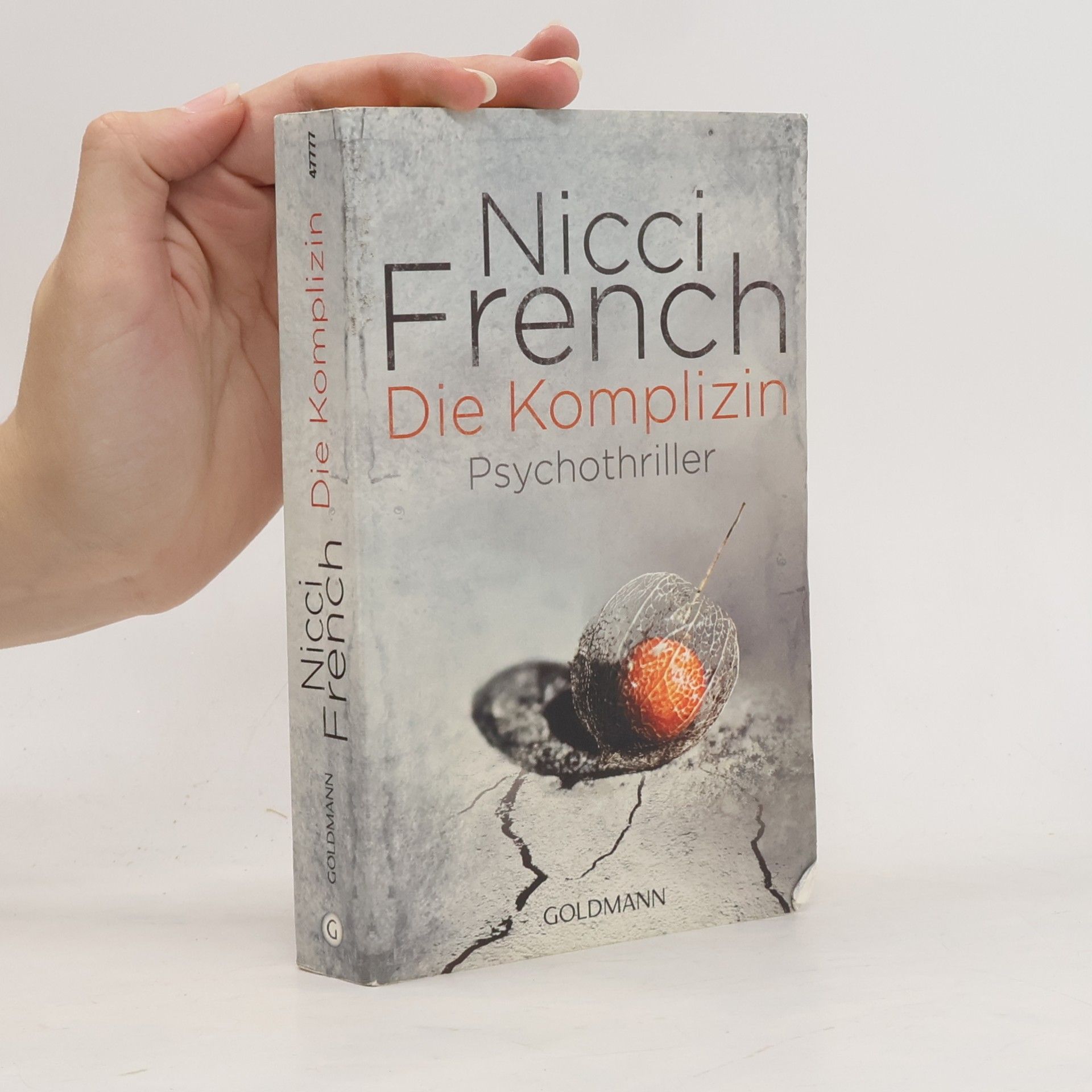 Nicci French Die Komplizin