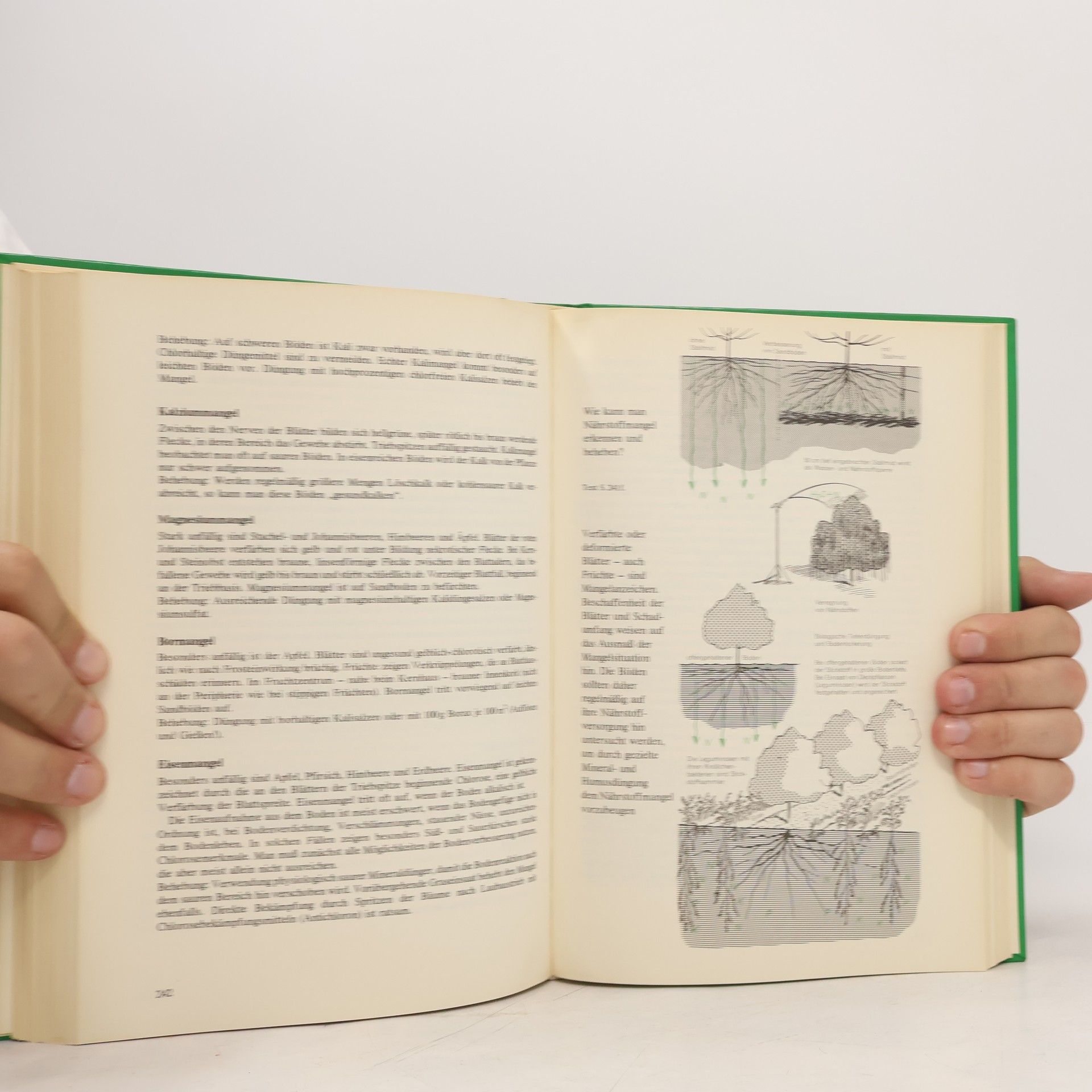 Gerhard Friedrich Obstbau in Wort und Bild