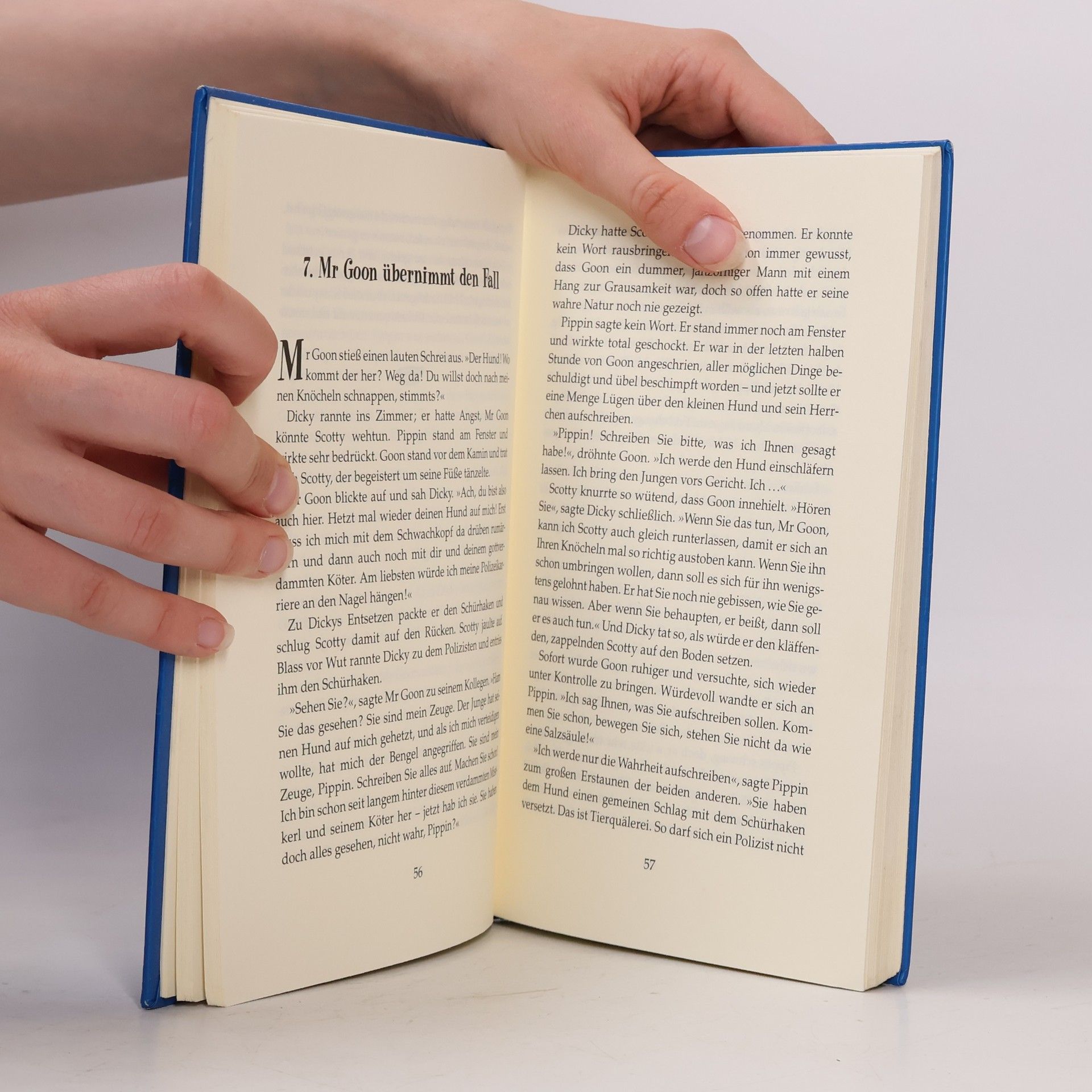 Enid Blyton Geheimnis-Serie 7