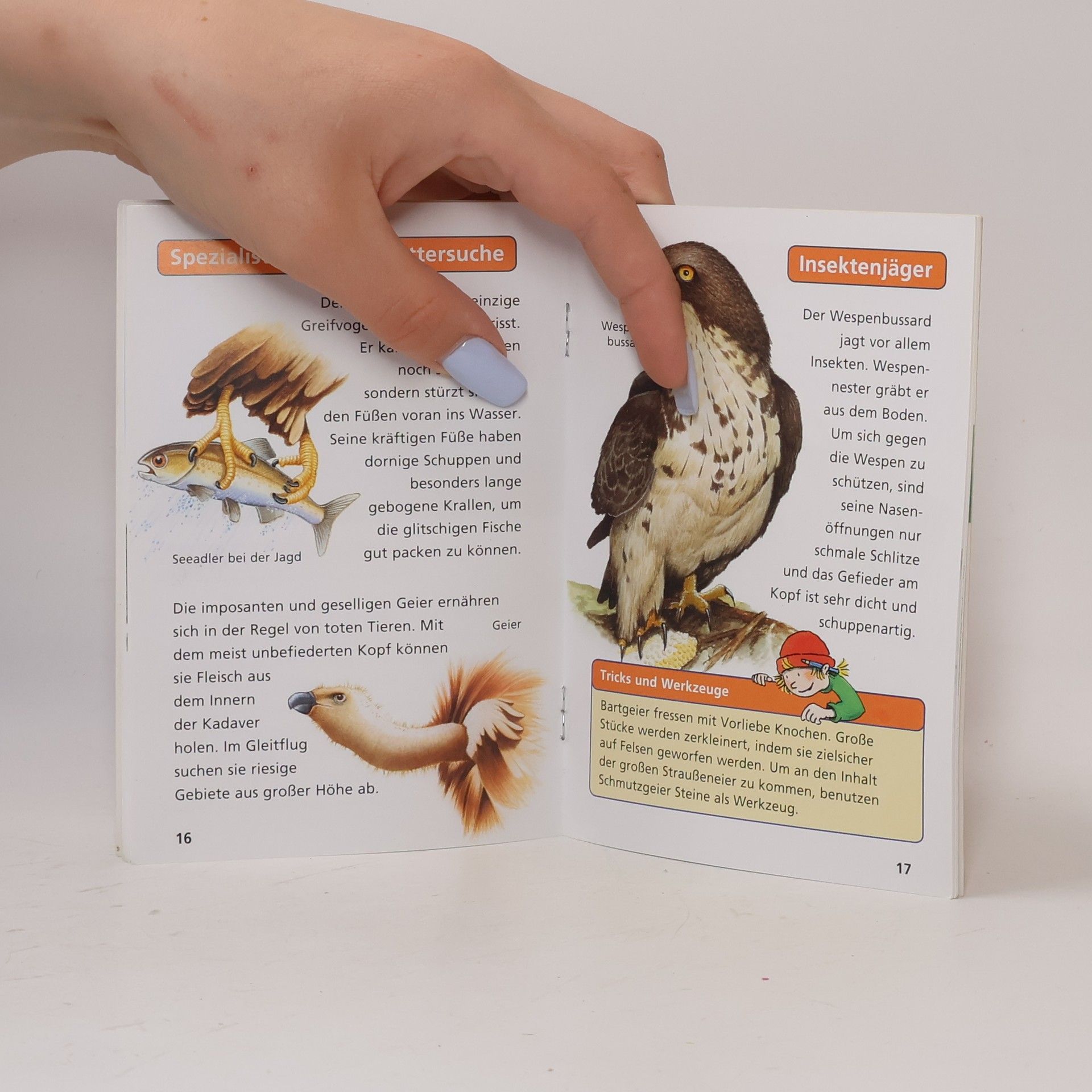 Kolektiv autorů Greifvögel
