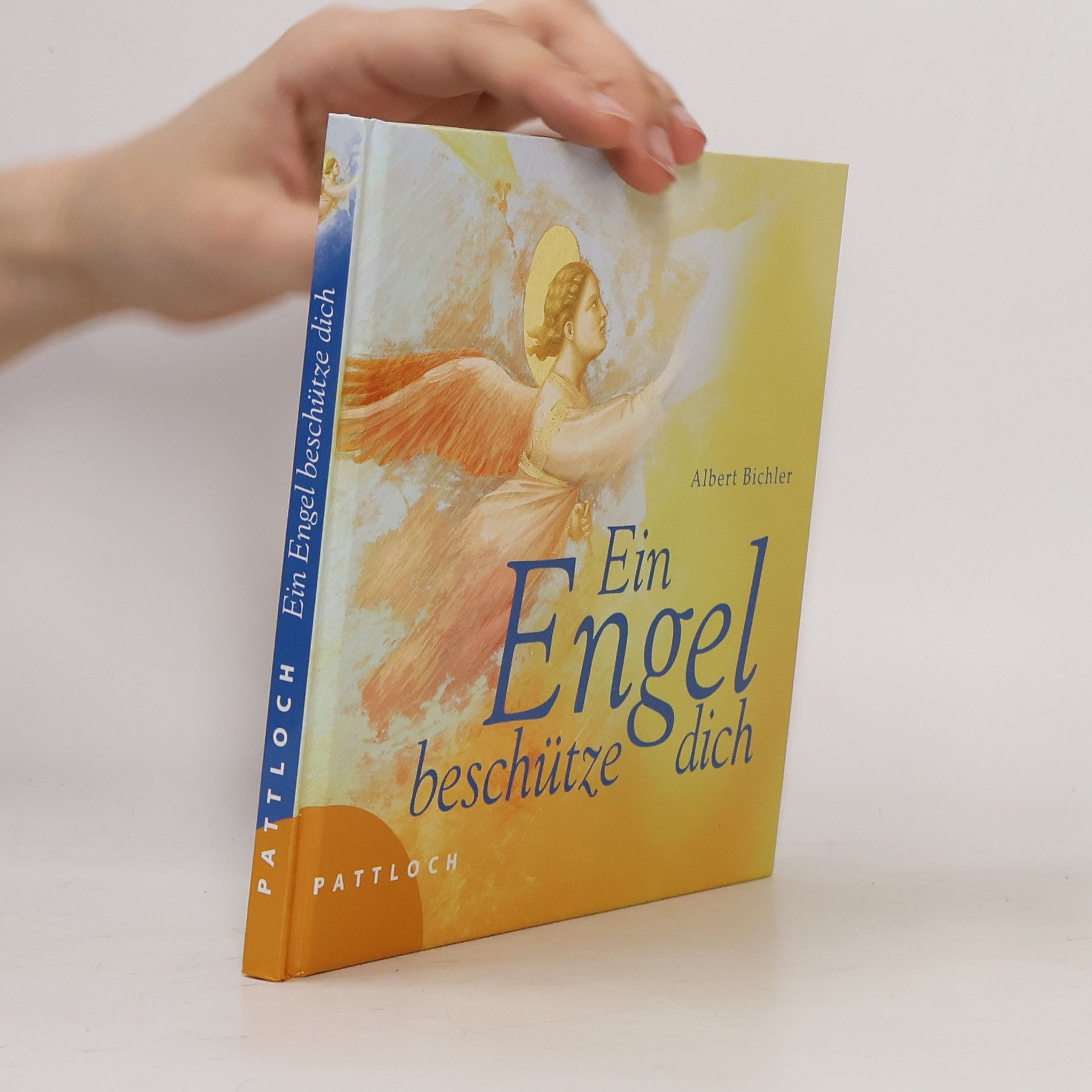 Albert Bichler Ein Engel beschütze Dich