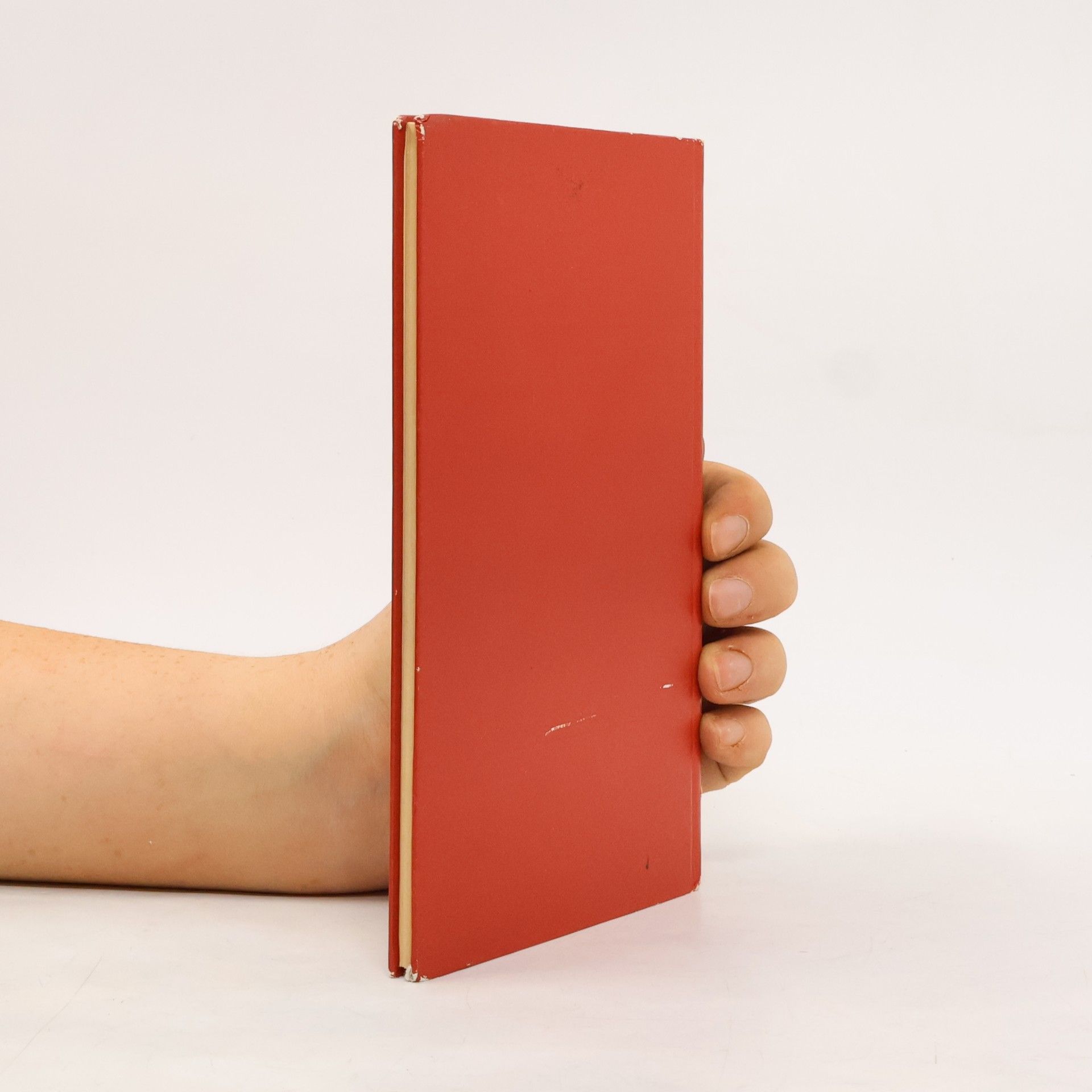 Horst Bienek Traum buch eines gefangenen